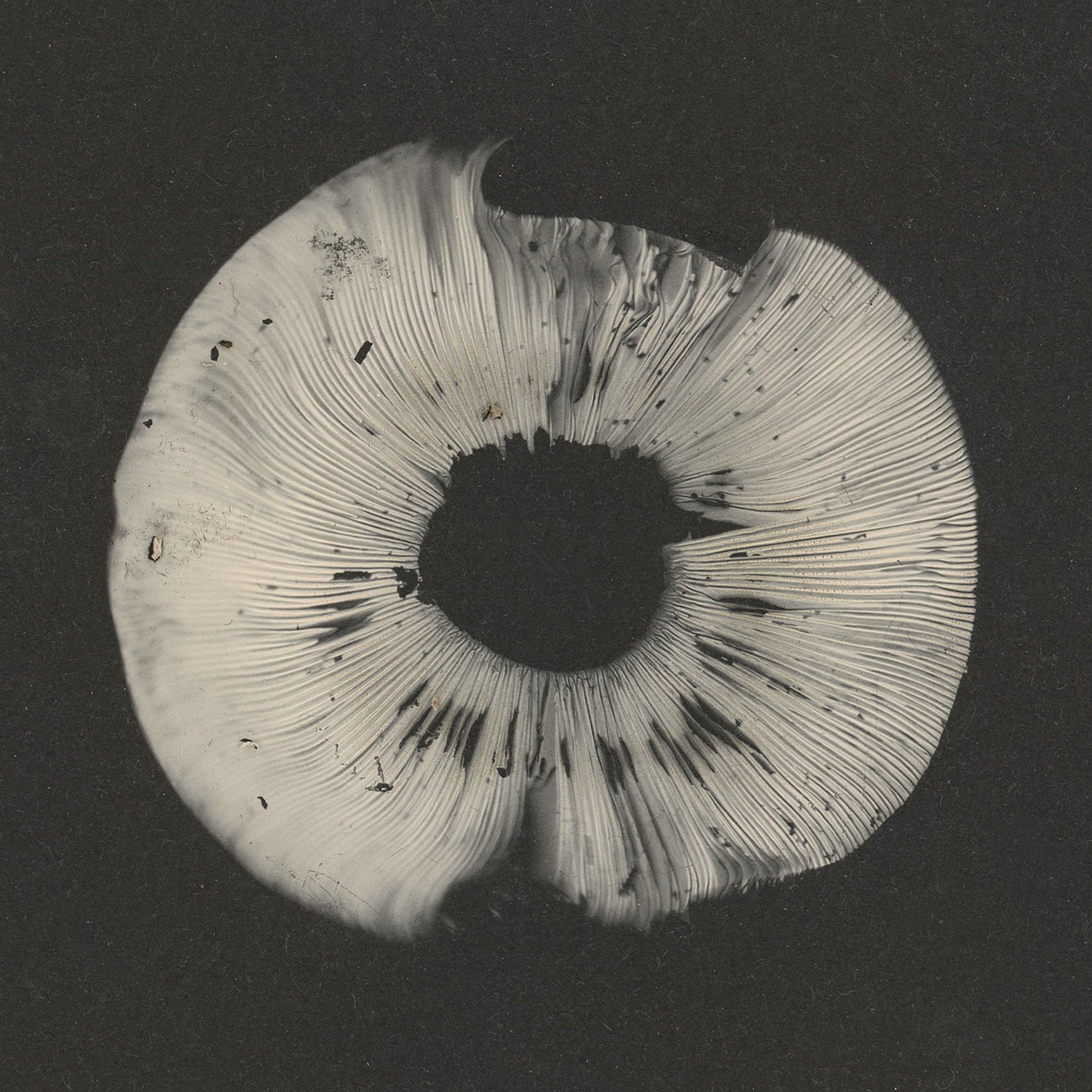 Cycles 2 - Cyclic Law's 20th Anniversary Label Sampler (CD)