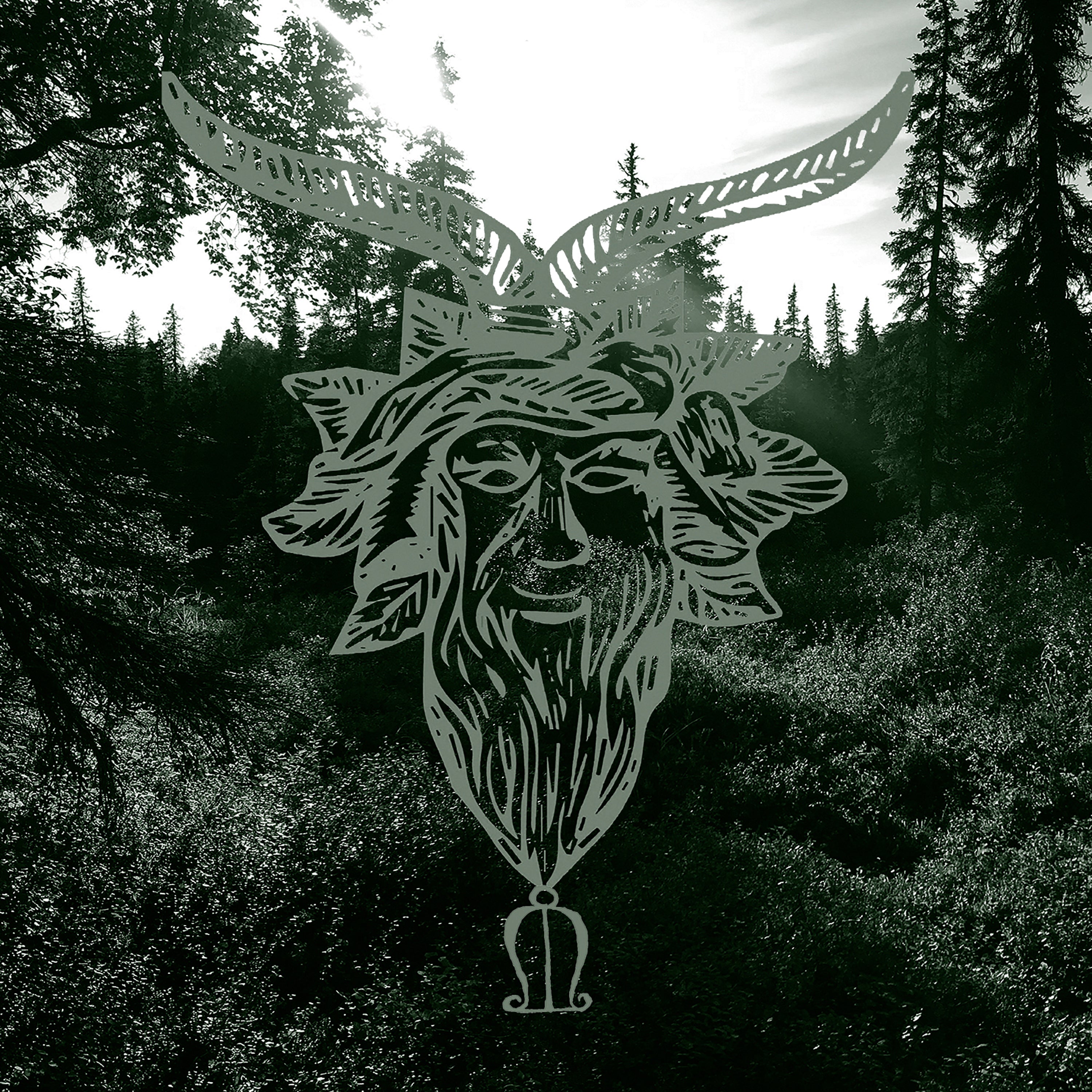 Common Eider, King Eider - Yearn (CD)