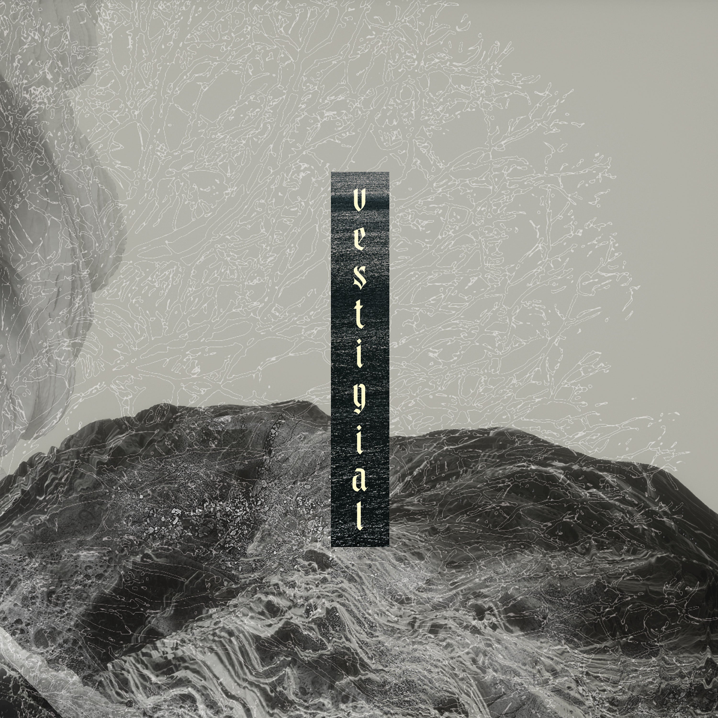 Vestigial - Descending Vastness (CD)