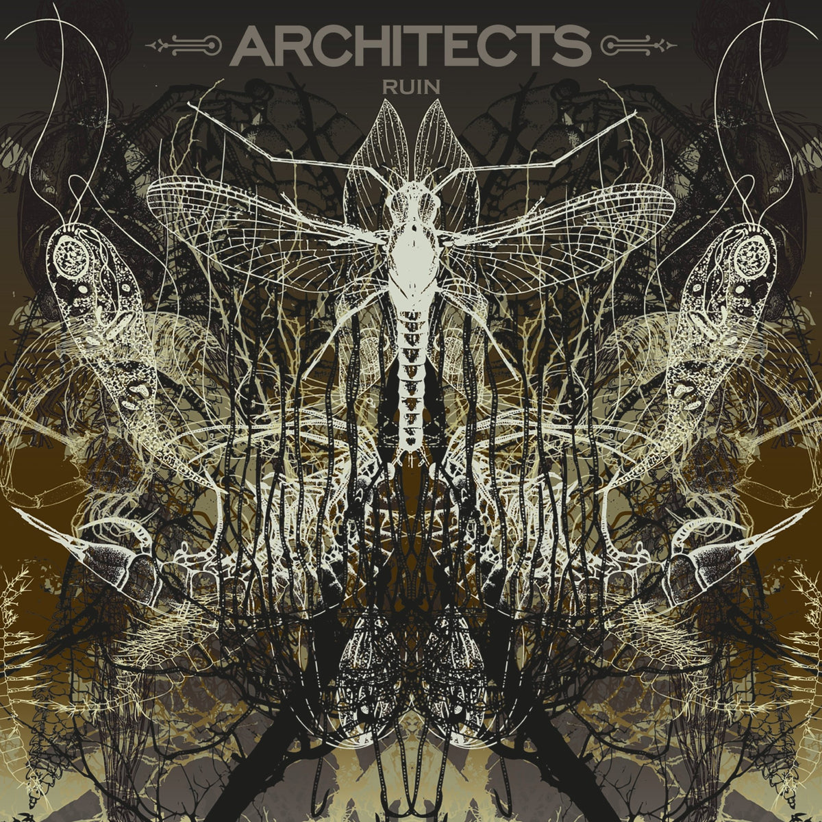 Architects - Ruin (Limited Picture Disc) (LP)