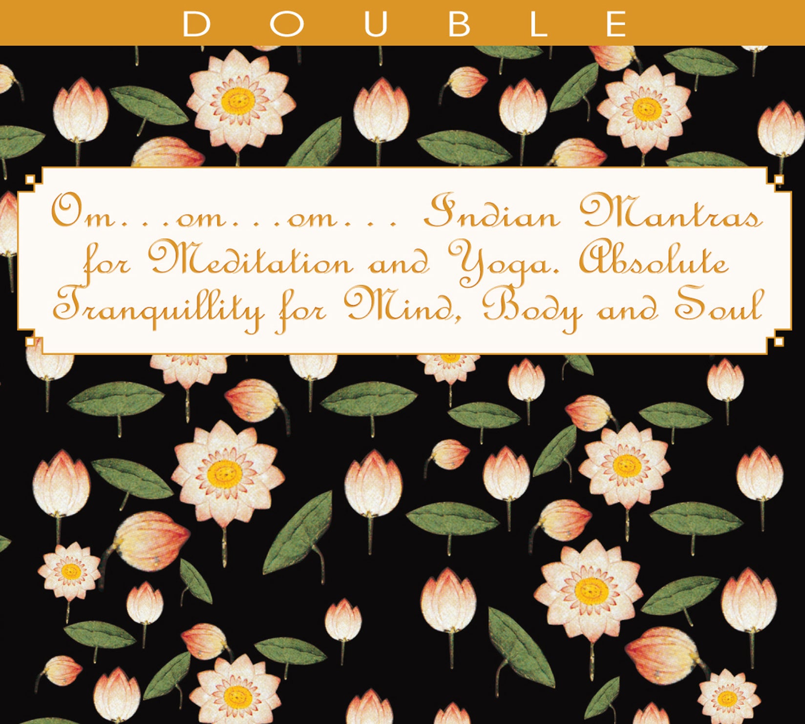 Om...indian Mantras For Meditation And Yoga (CD)