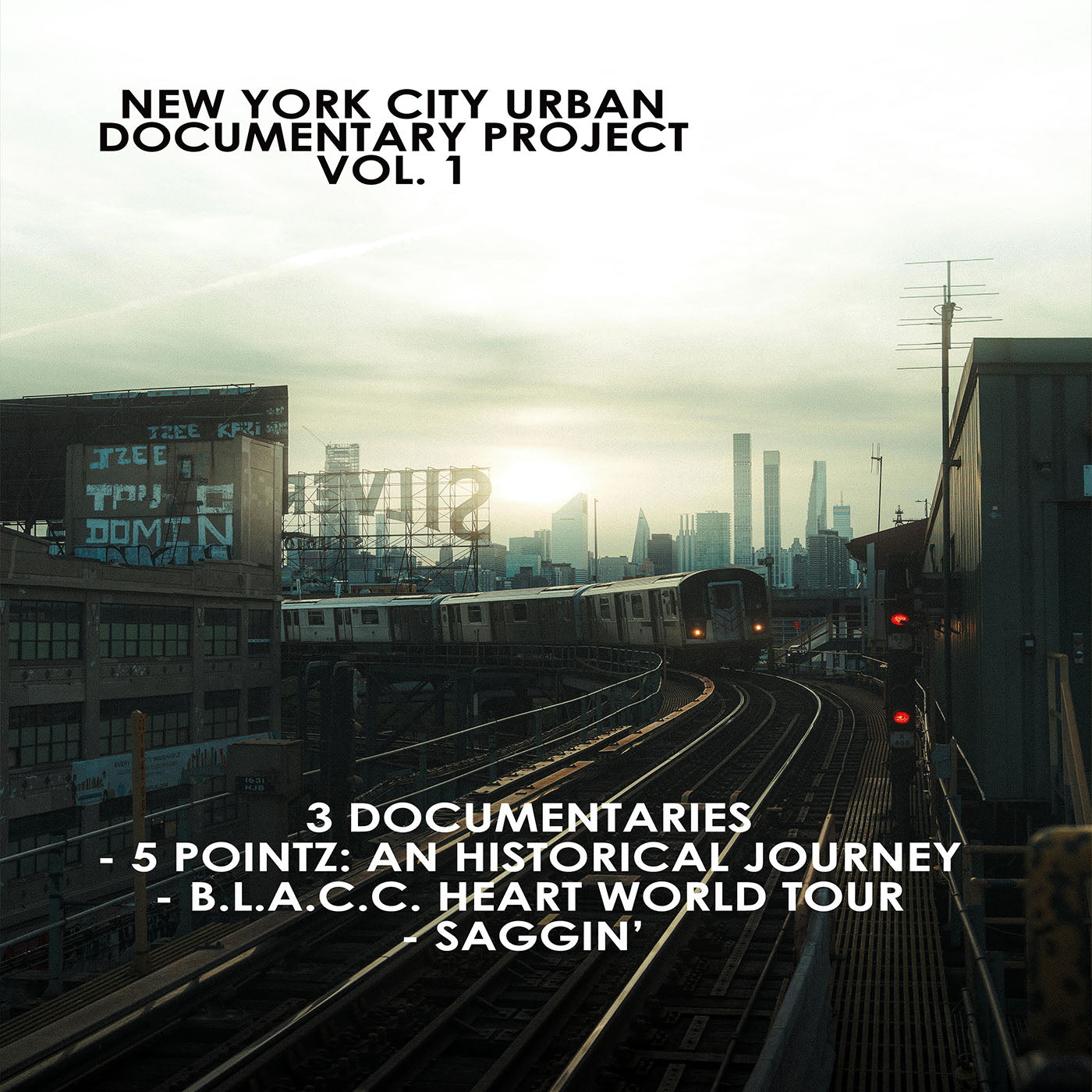 New York City Urban Documentary Project Vol. 1 (DVD)