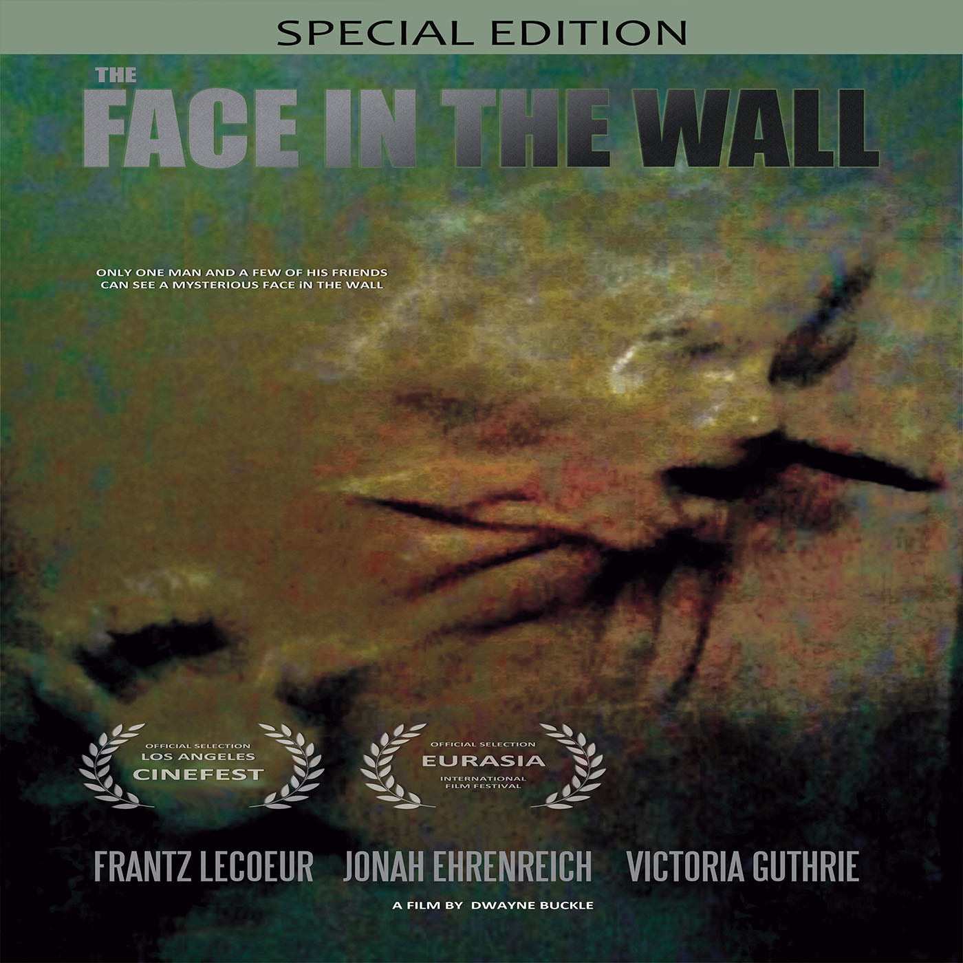 The Face In The Wall (Special Edition) (DVD)