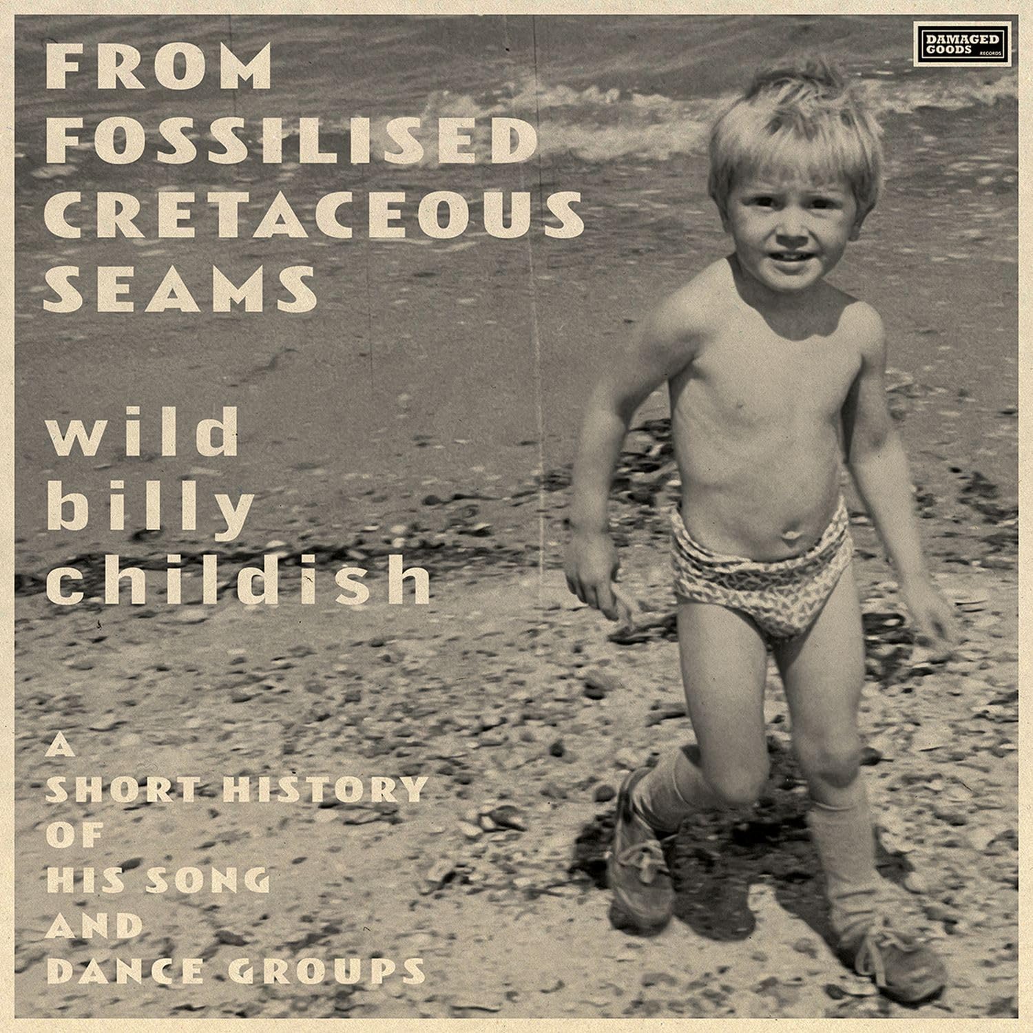 Billy Childish - From Fossilised Cretaceous Seams: A Short History Of His Song And Dance Groups (LP)