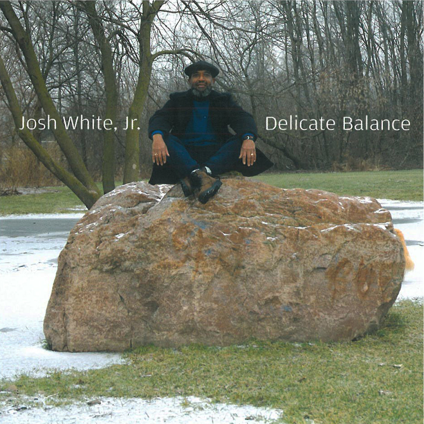 Josh White, Jr - Delicate Balance (CD)