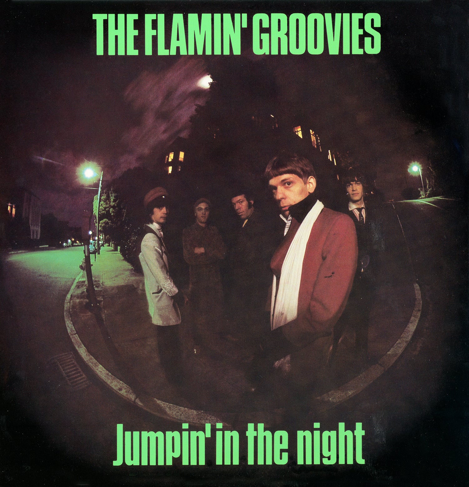 Flamin' Groovies - Jumpin' In The Night (LP)