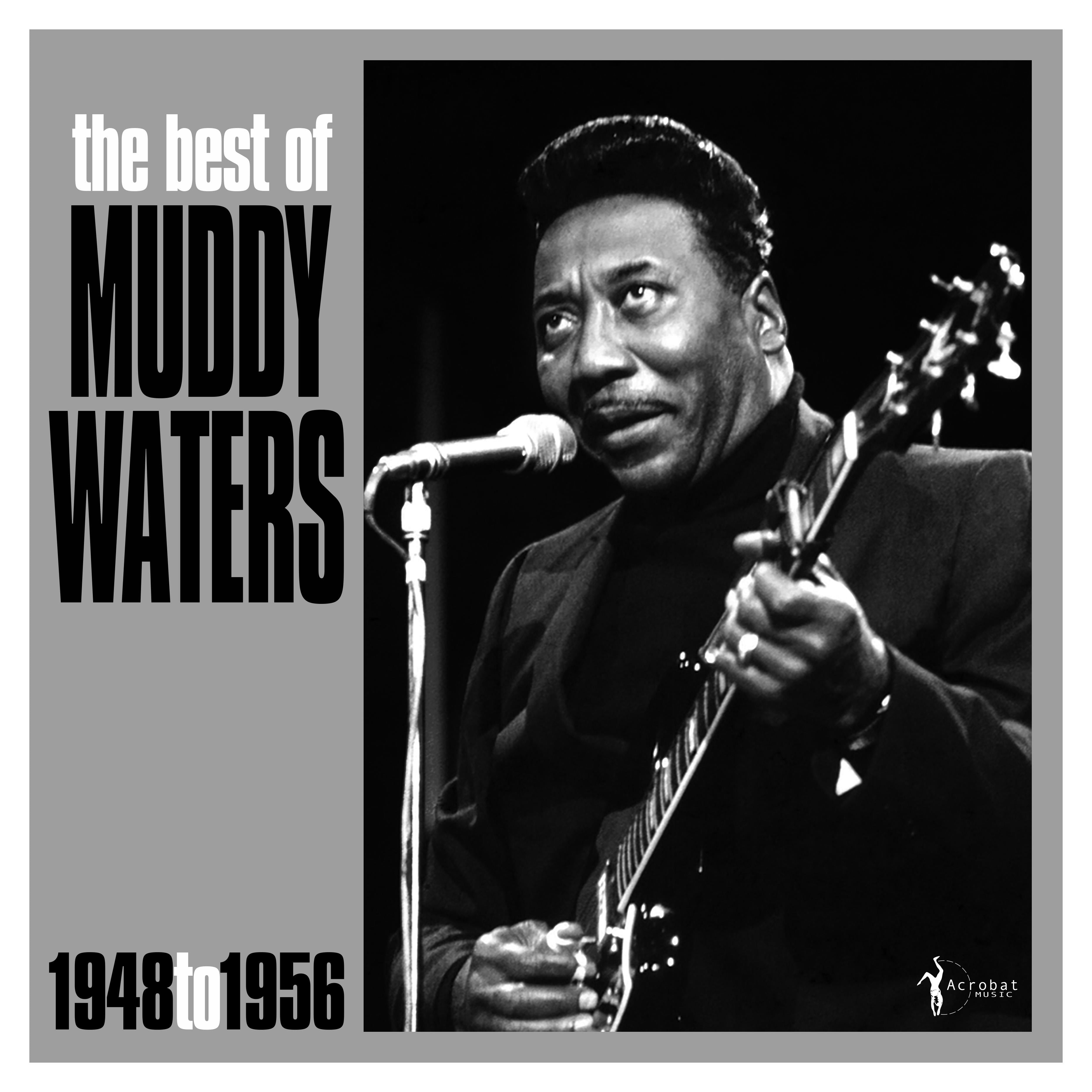 Muddy Waters - The Best Of Muddy Waters 1948-56 (LP)