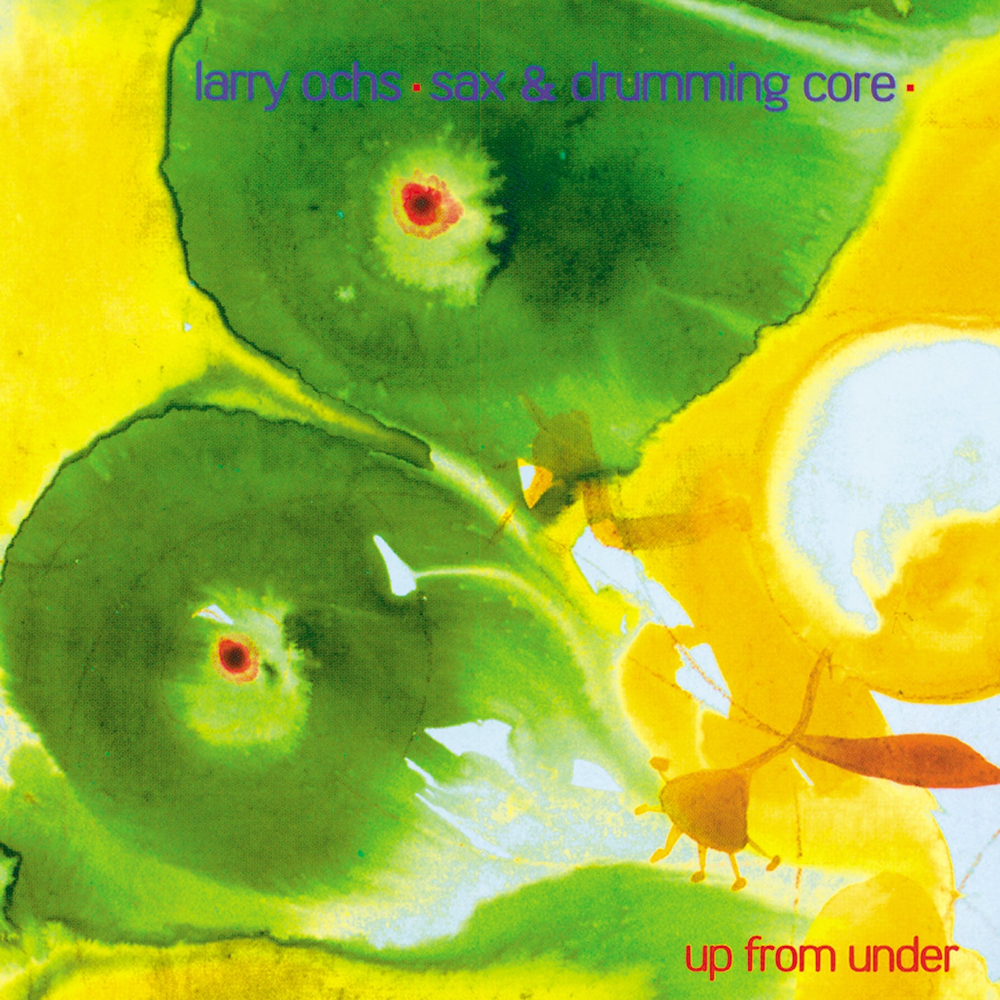 Ochs, Larry, Sax & Drumming Core - Out Trios Volume 5 (CD)