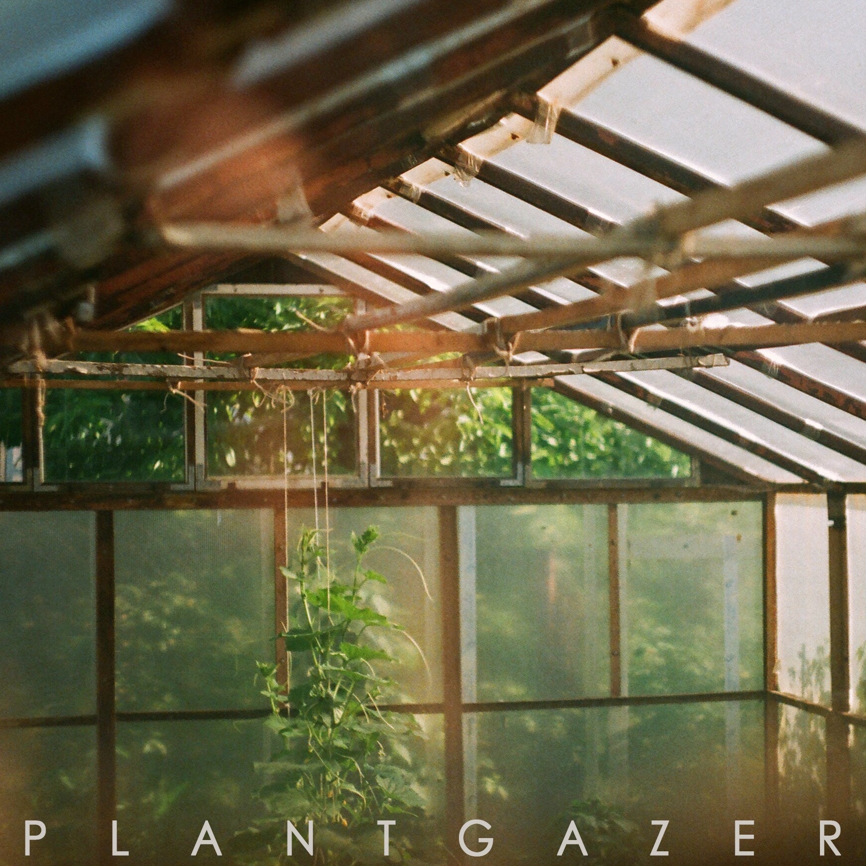 Show Me A Dinosaur - Plantgazer (LP)
