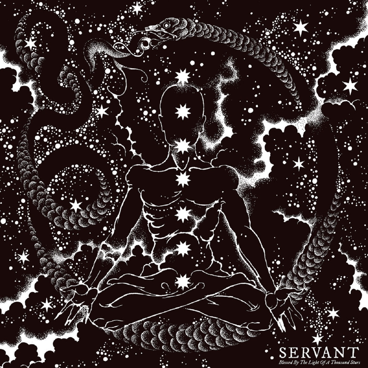 Servant - Blessed By The Light Of A Thousand Stars (LP)