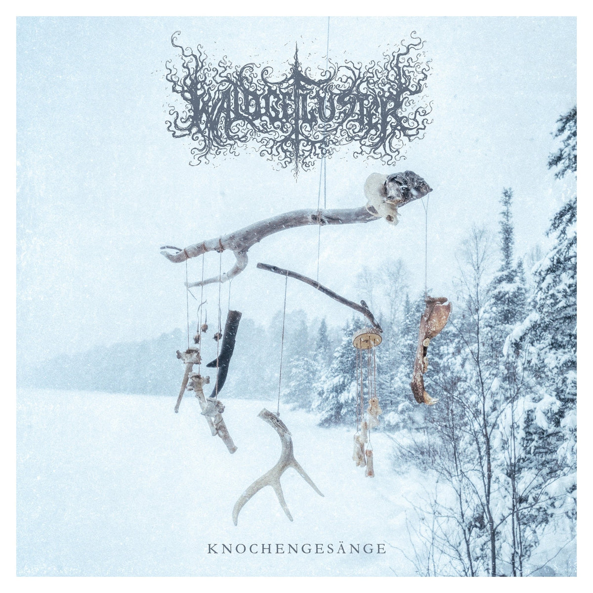 Waldgeflüster - Knochengesänge (LP)
