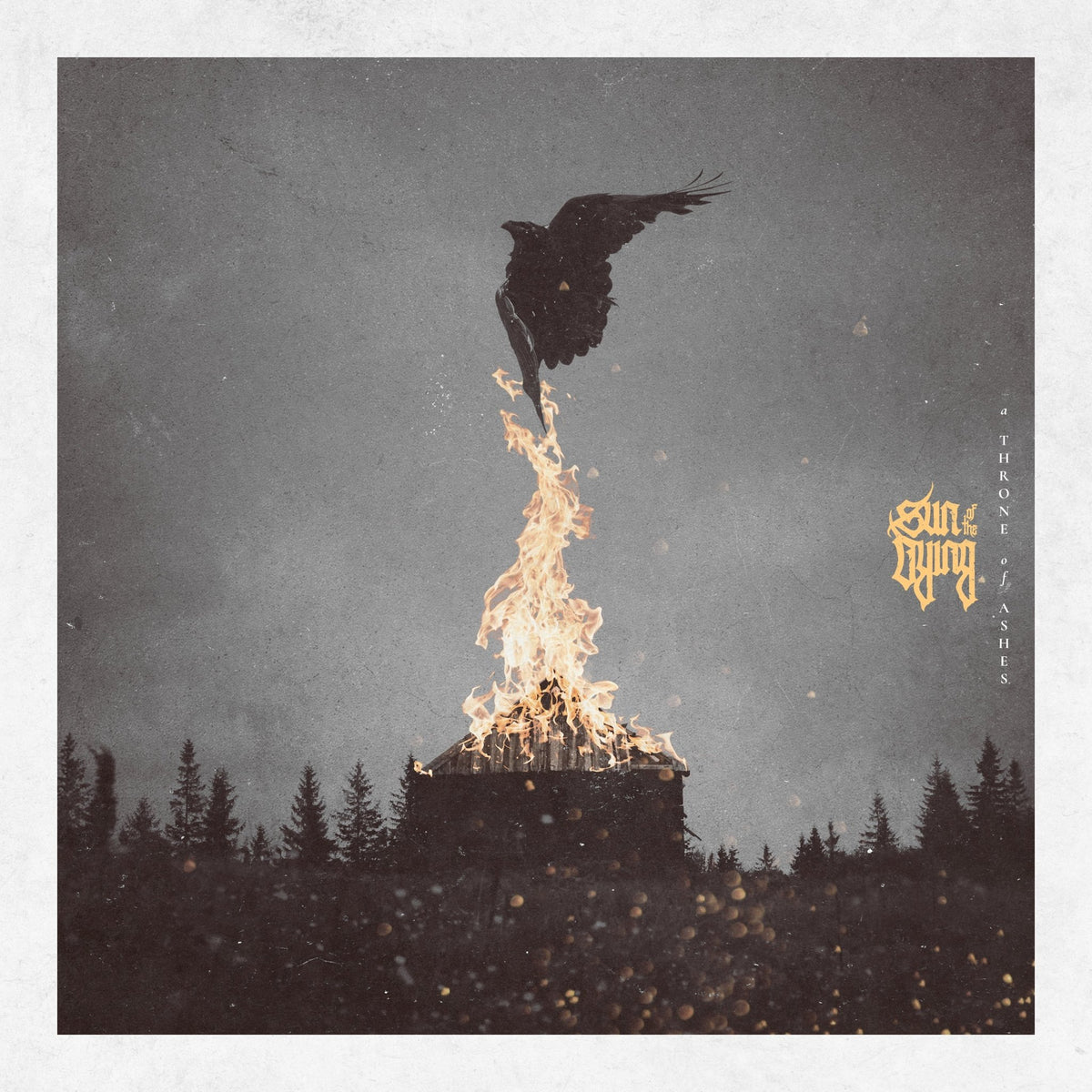 Sun Of The Dying - A Throne Of Ashes (LP)