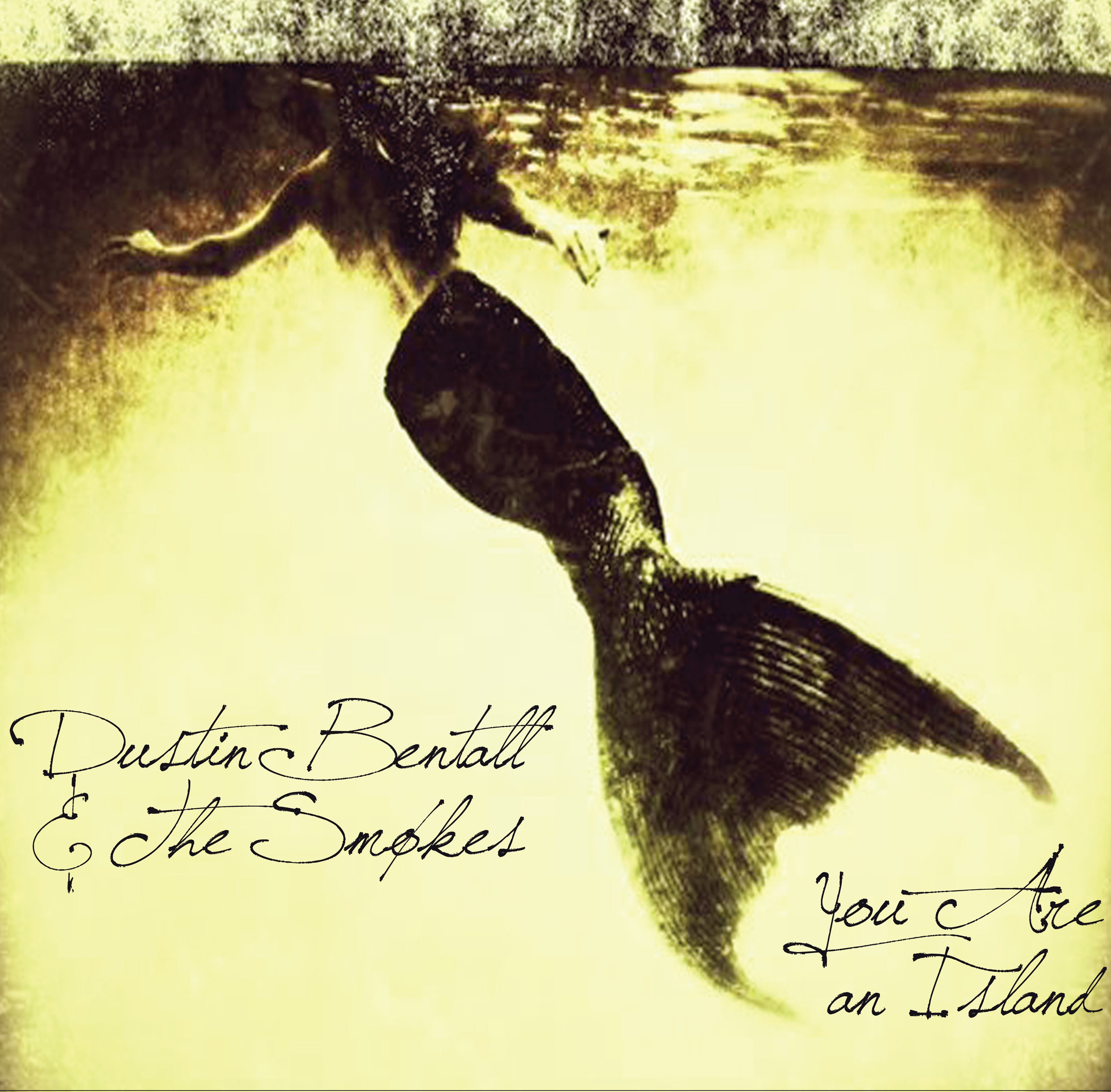 Dustin Bentall & The Smokes - You Are An Island (CD)