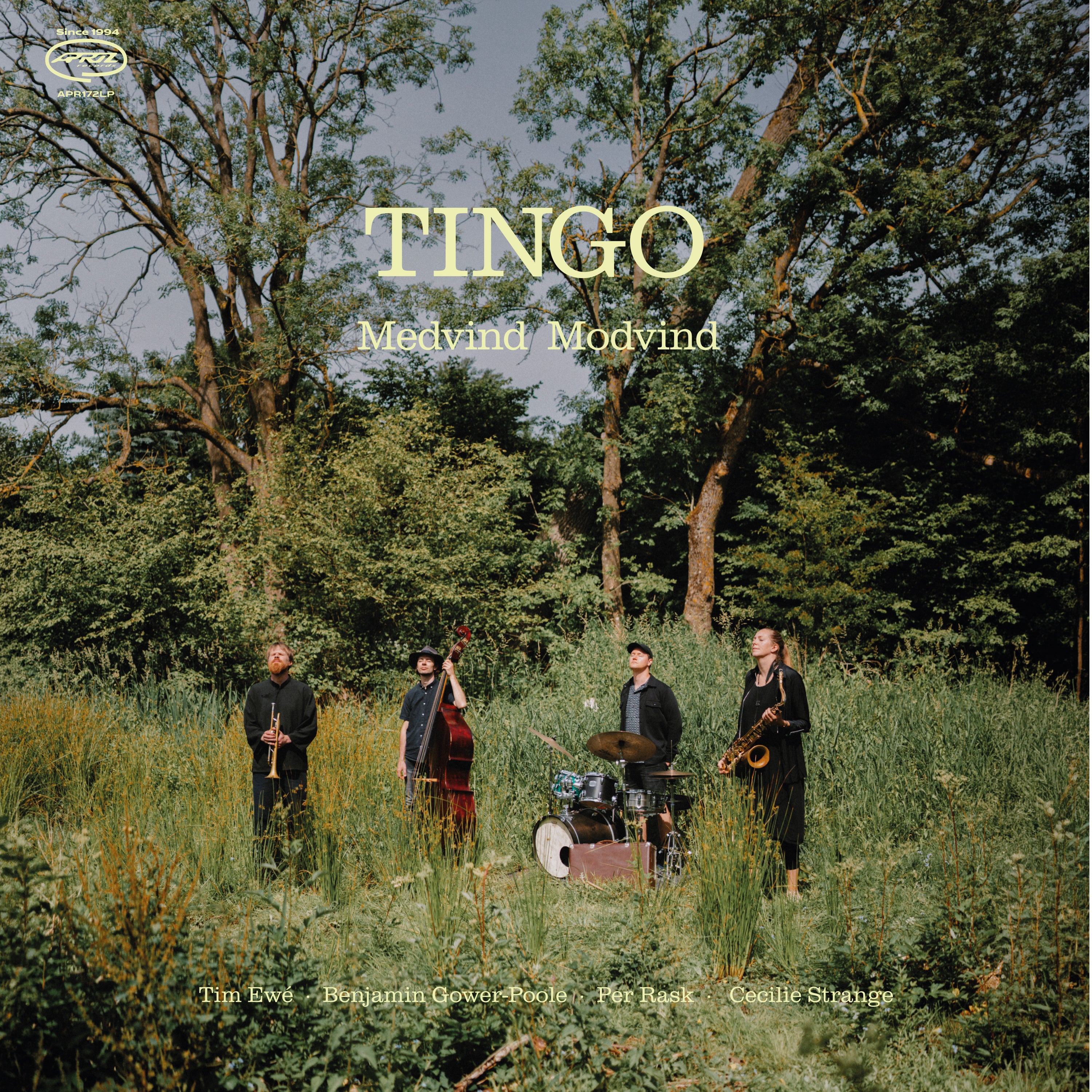 Tingo - Medvind Modvind (CD)