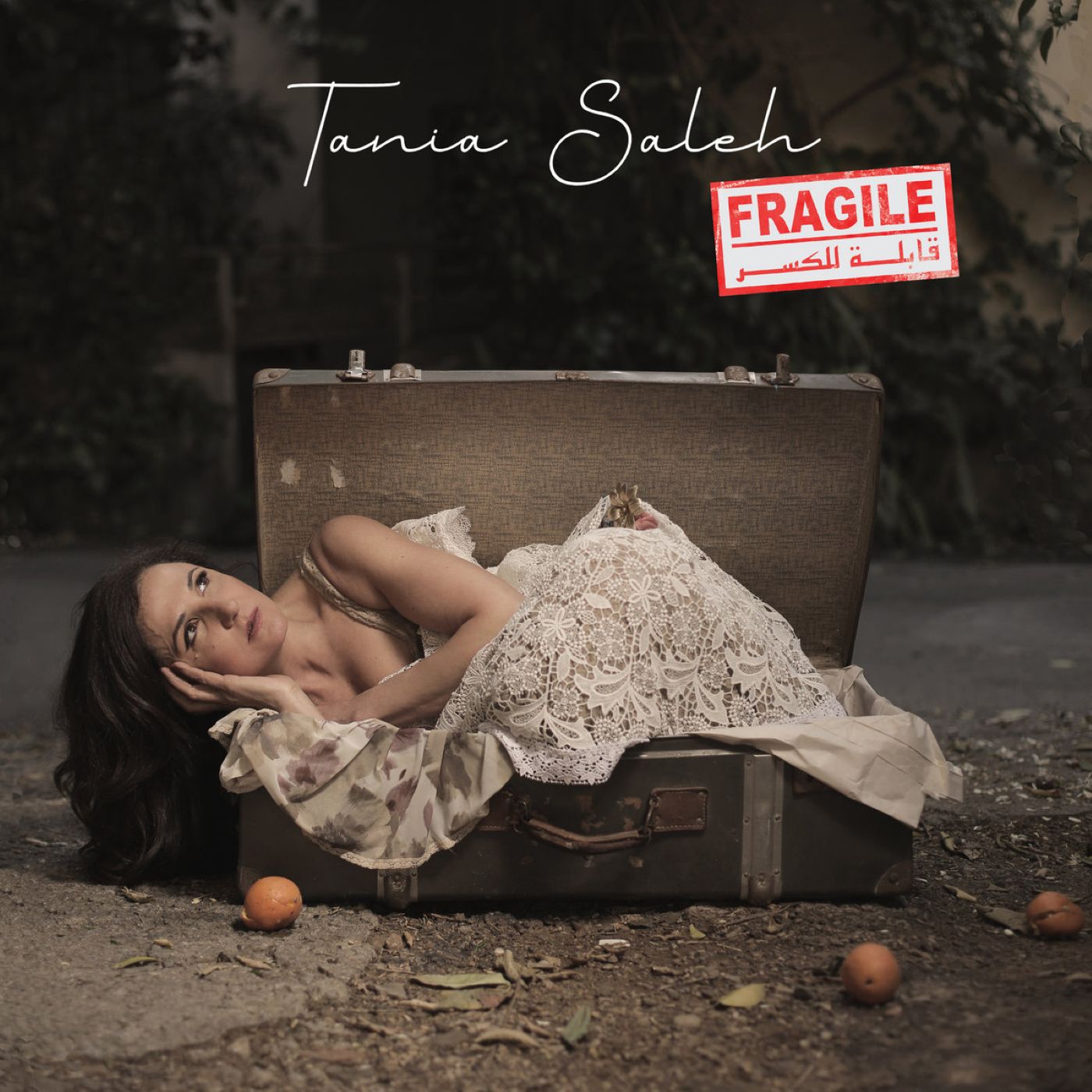 Tania Saleh - Fragile (CD)