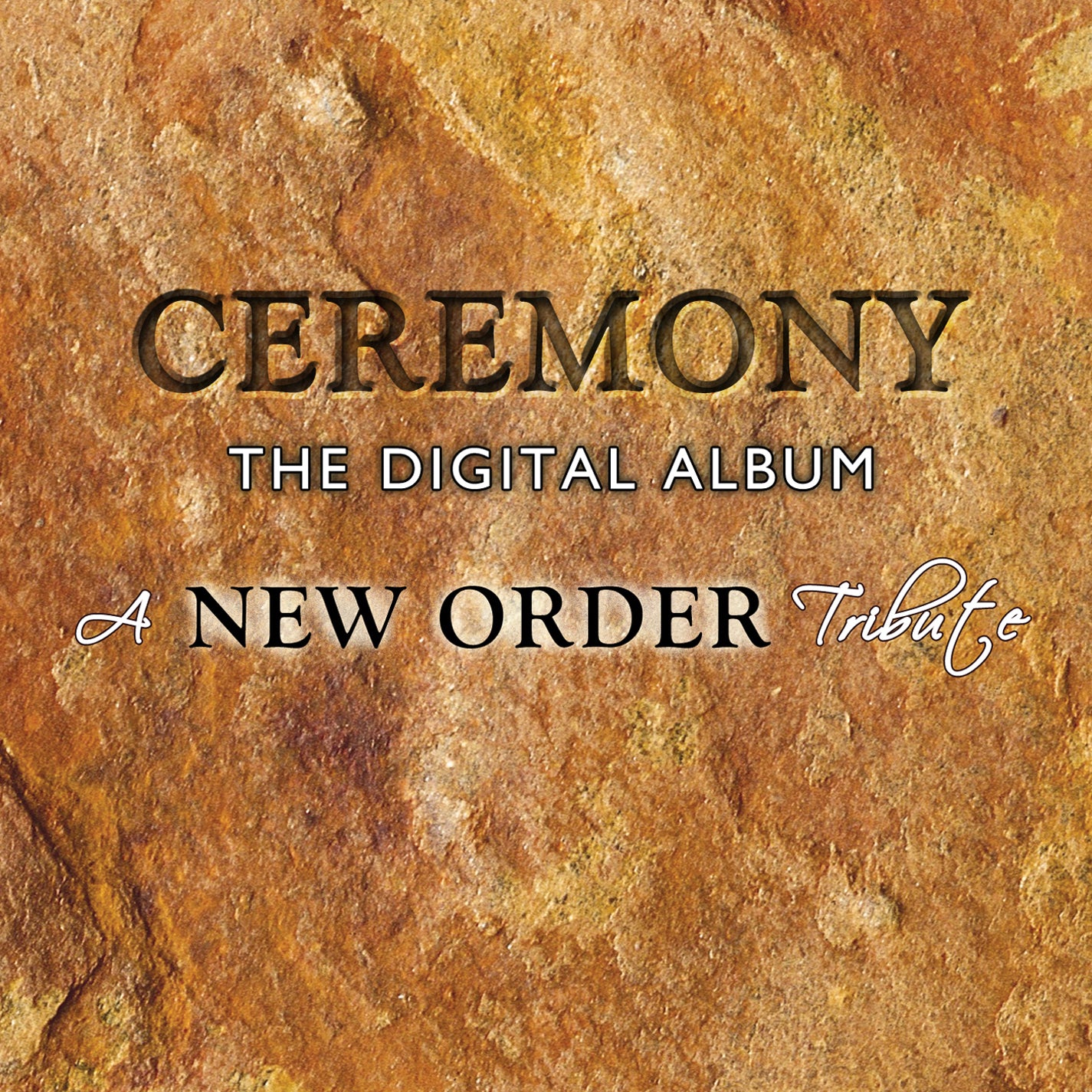 Ceremony: The Digital Album-a New Order Tribute (CD)