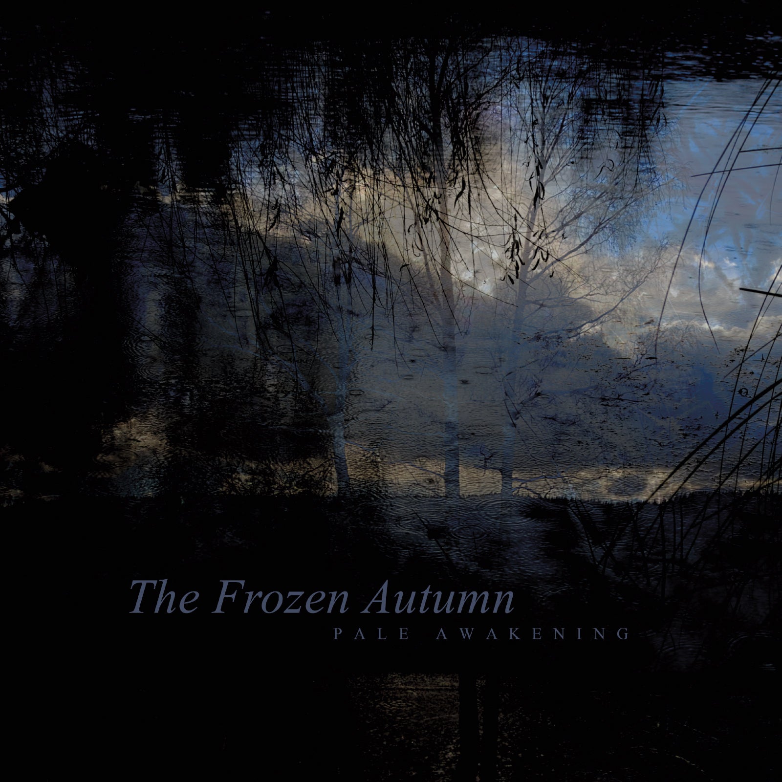 The Frozen Autumn - Pale Awakening (LP)