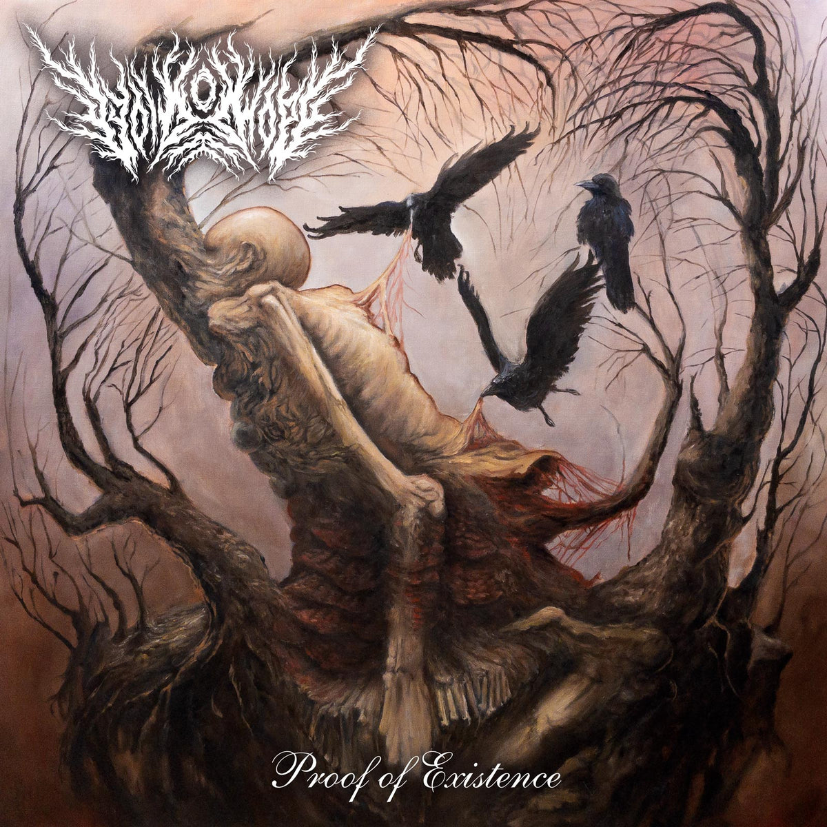Void Of Hope - Proof Of Existence (LP)