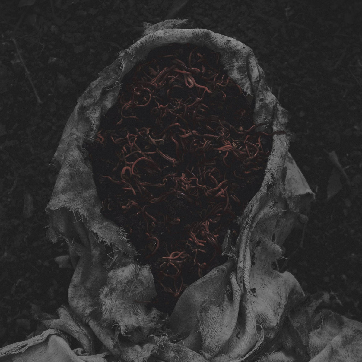 Gorrch - Stillamentum (CD)