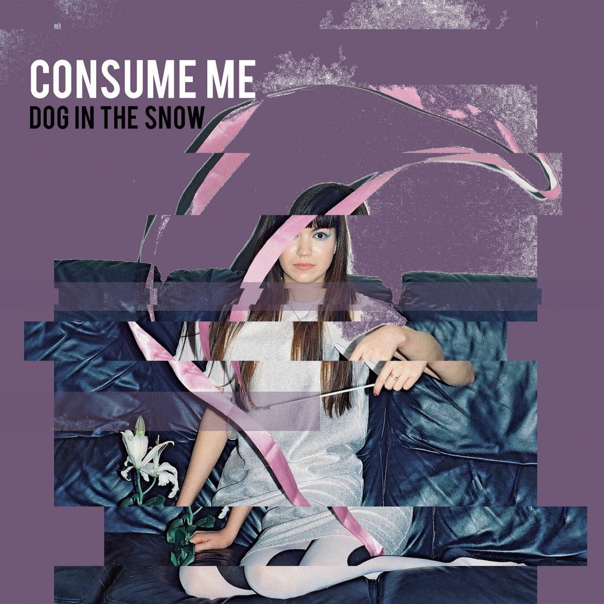 Dog In The Snow - Consume Me (CD)