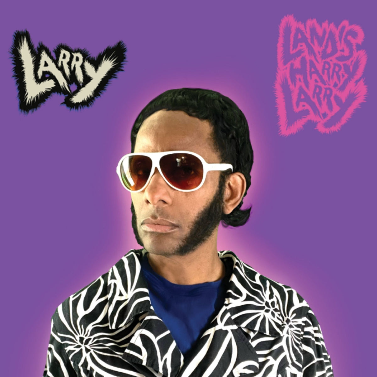 Landis Harry Larry - Larry (CASSETTE)