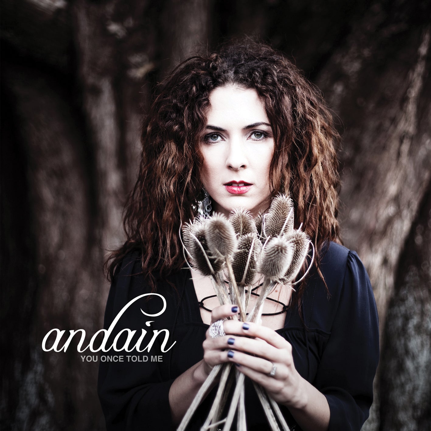 Andain - You Once Told Me (CD)