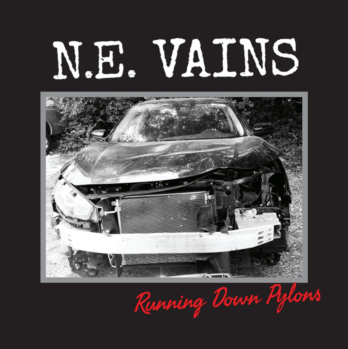N.E. Vains - Running Down Pylons (LP)