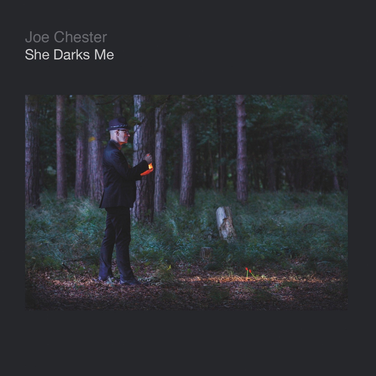 Joe Chester - She Darks Me (CD)