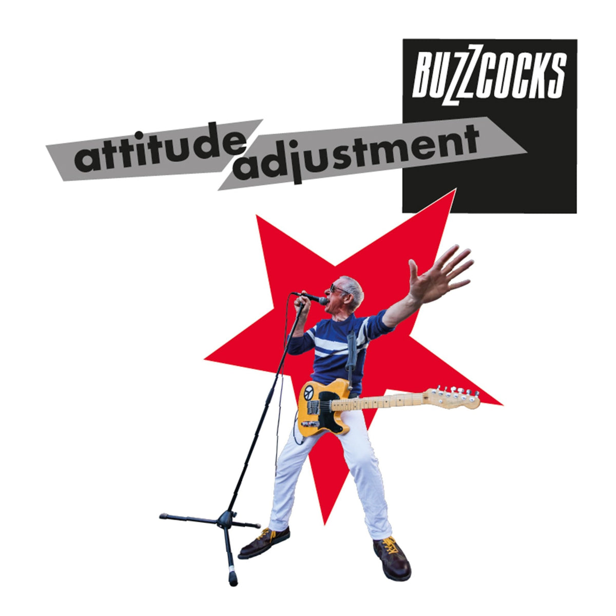 Buzzcocks - Attitude Adjustment (LP)