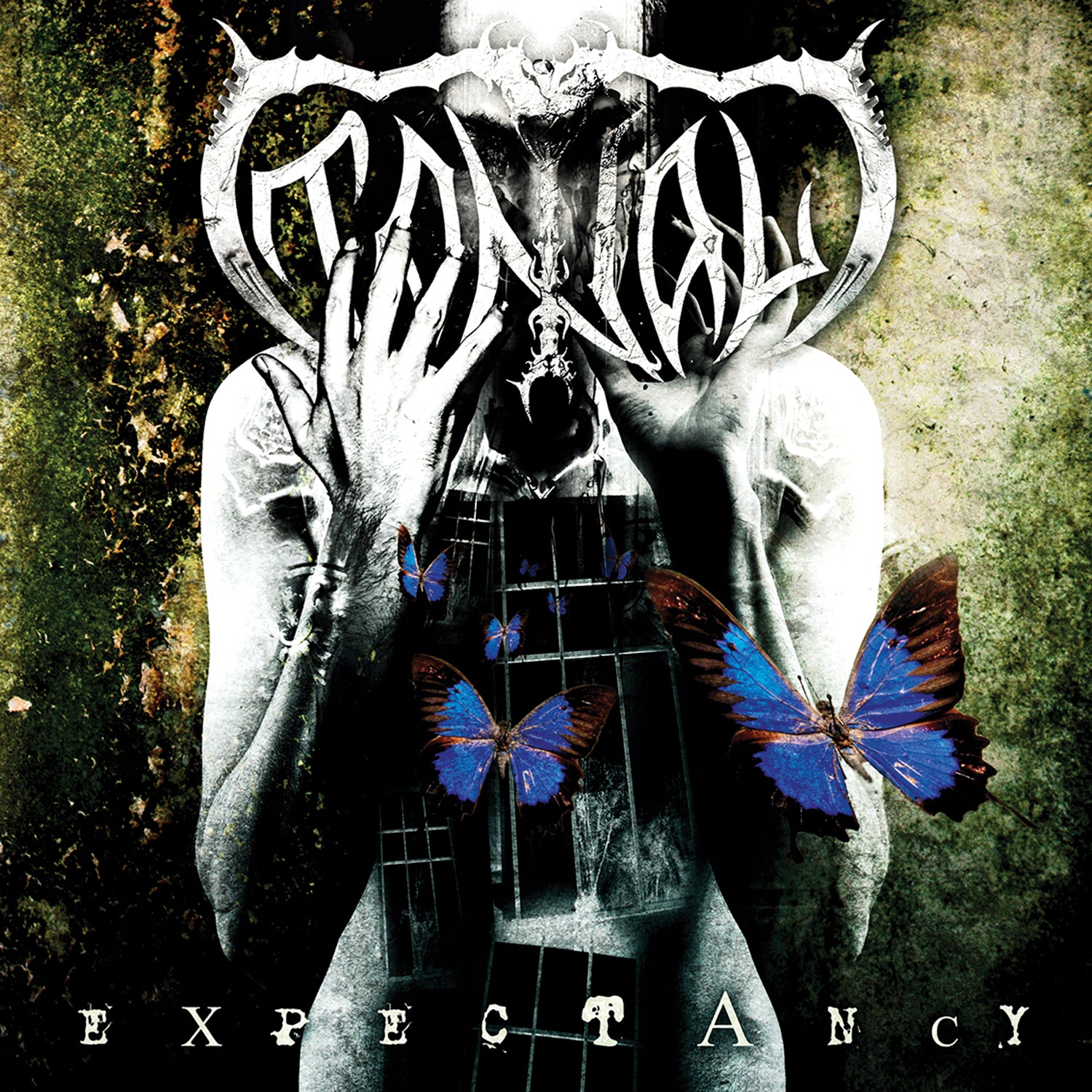 Tantal - Expectancy (CD)