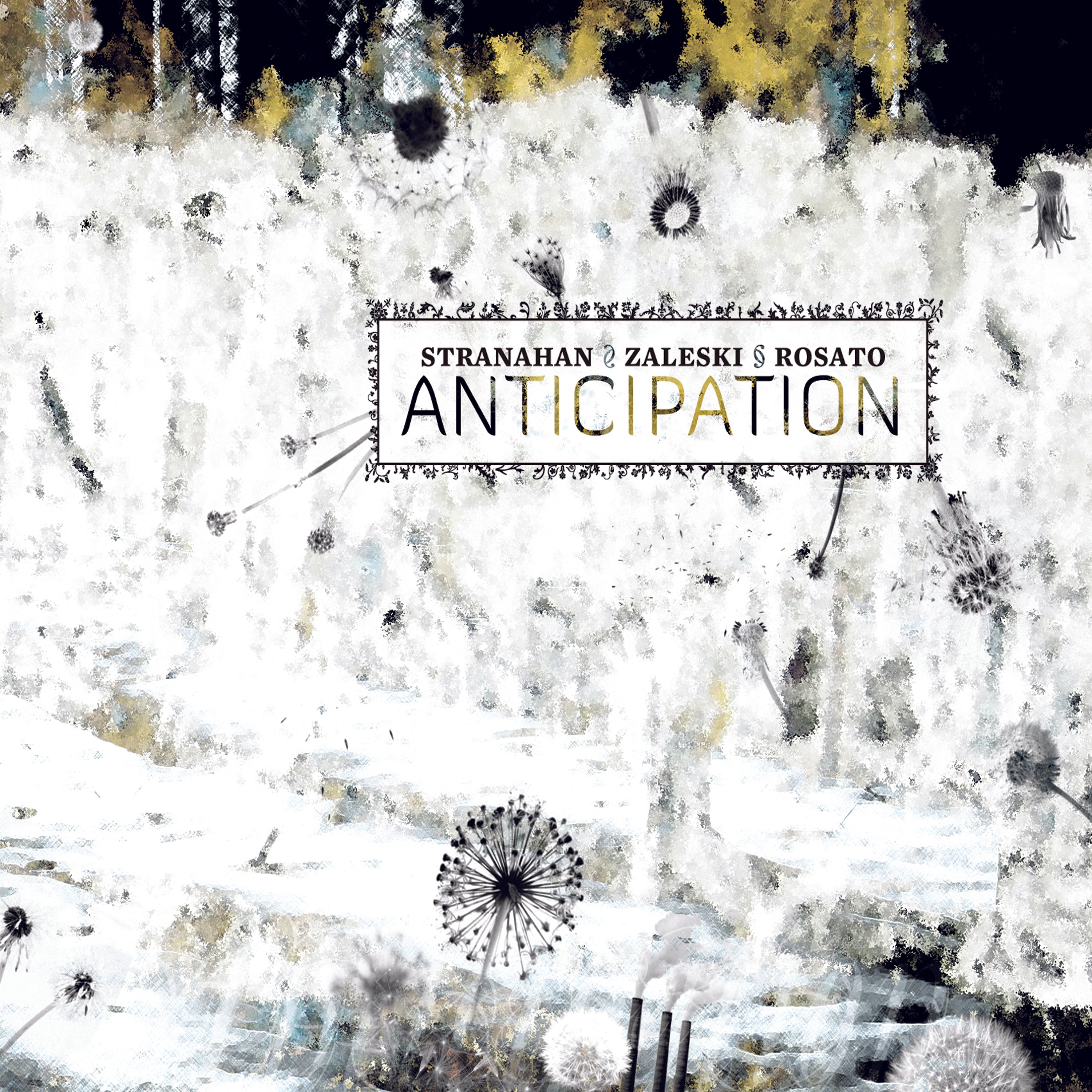 Colin Stranahan & Glenn Zaleski & Rick Rosato - Anticipation (CD)