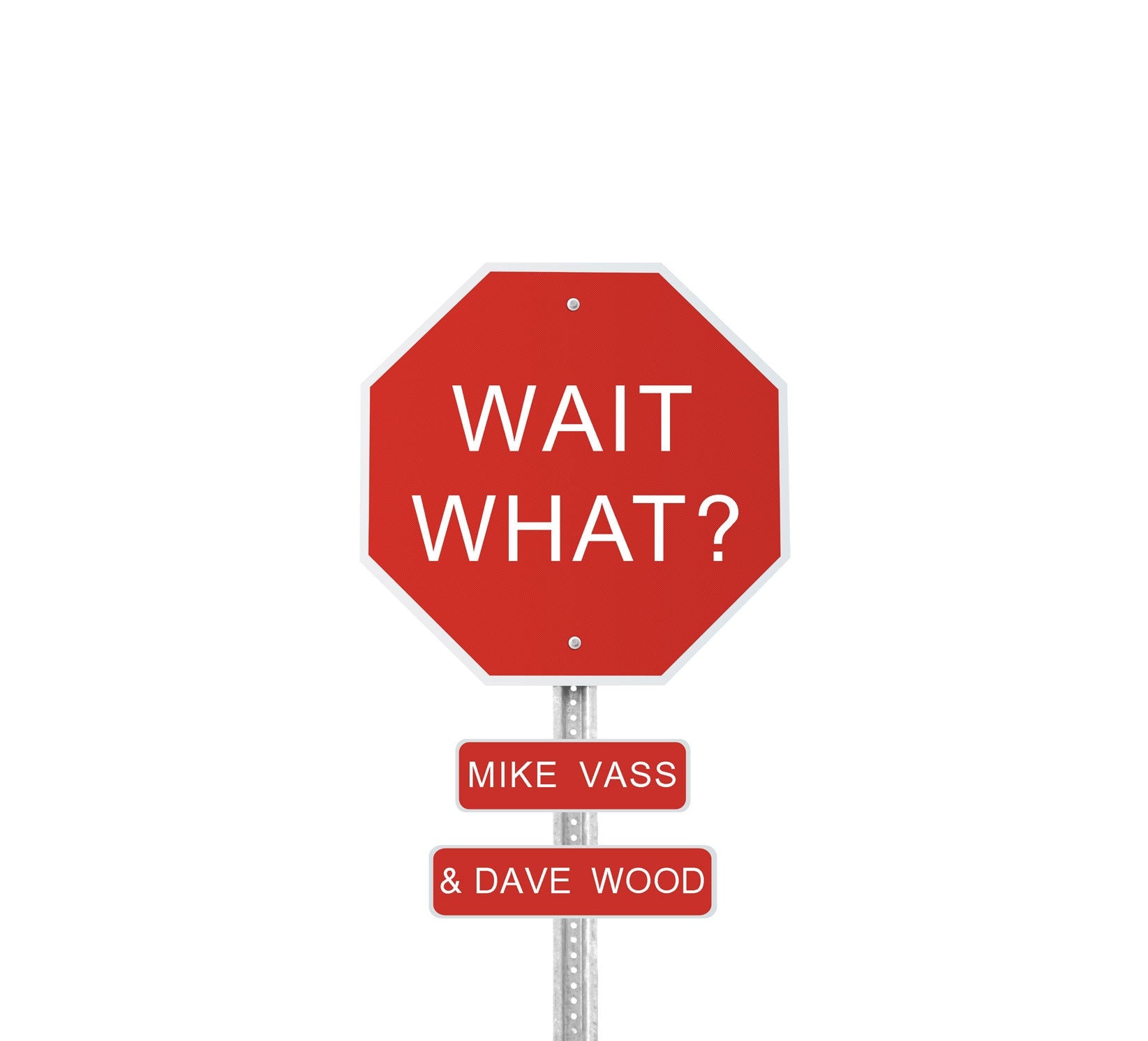 Mike Vass & Dave Wood - Wait What (CD)