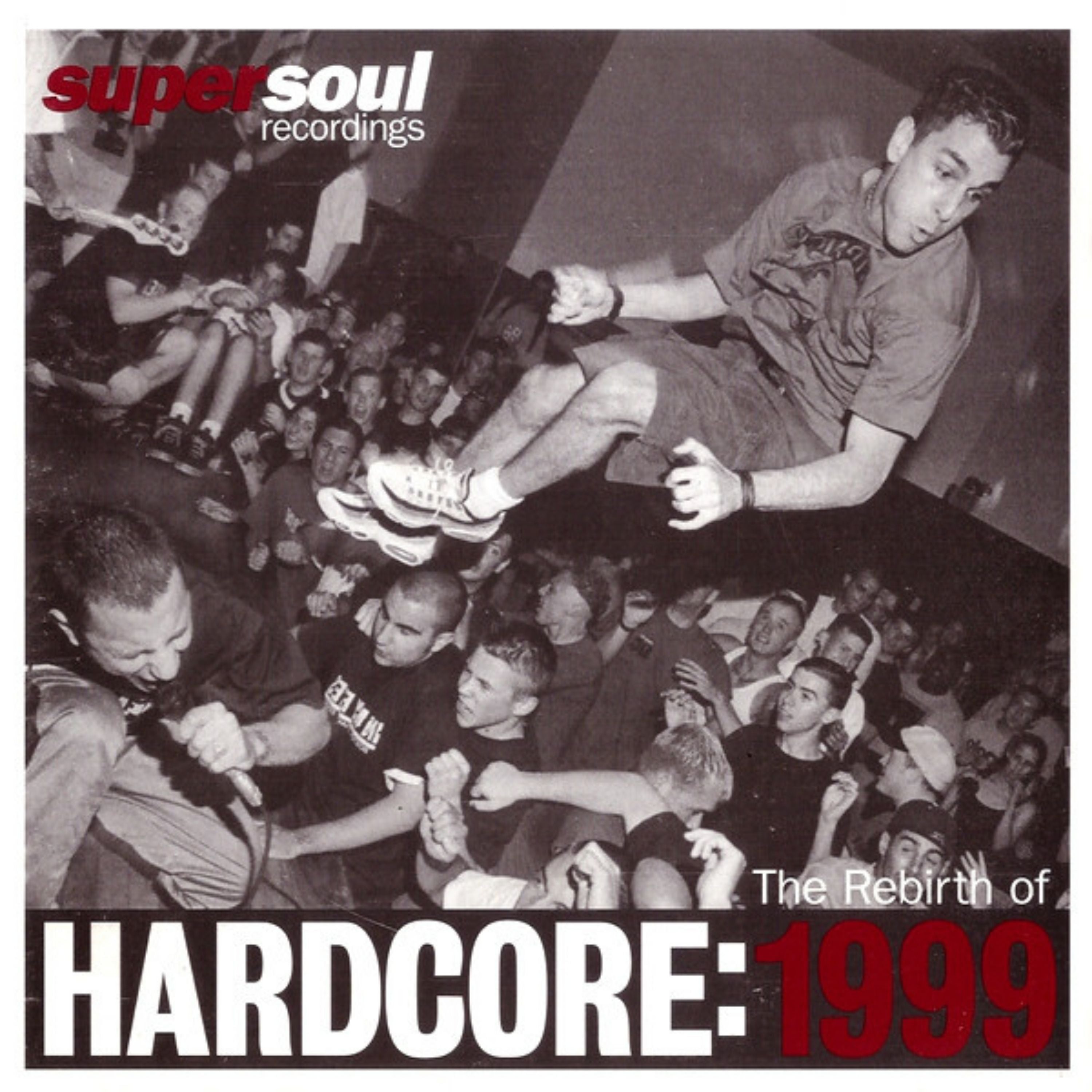 Rebirth Of Hardcore: 1999 (LP)