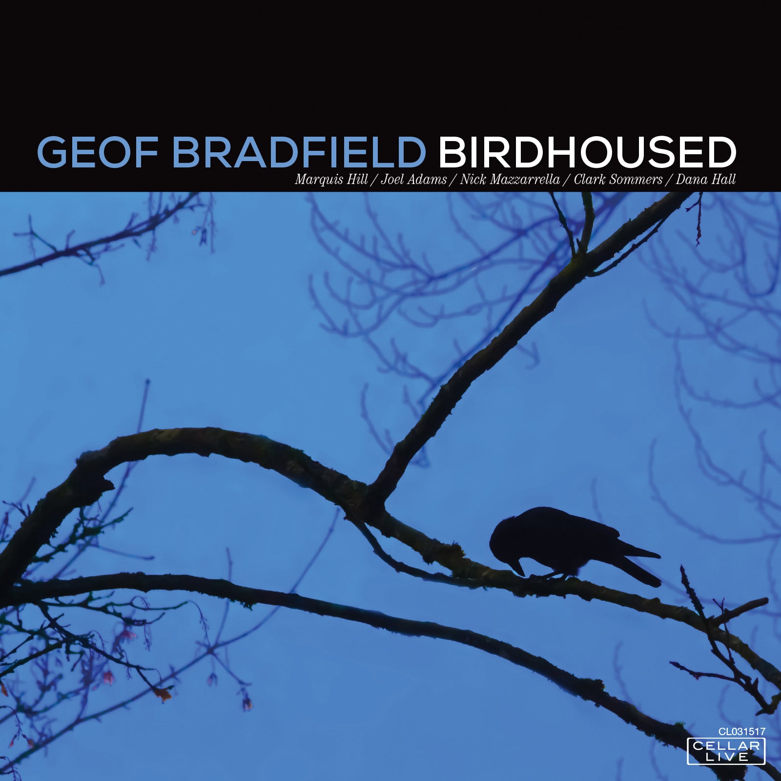 Geof Bradfield - Birdhoused (CD)