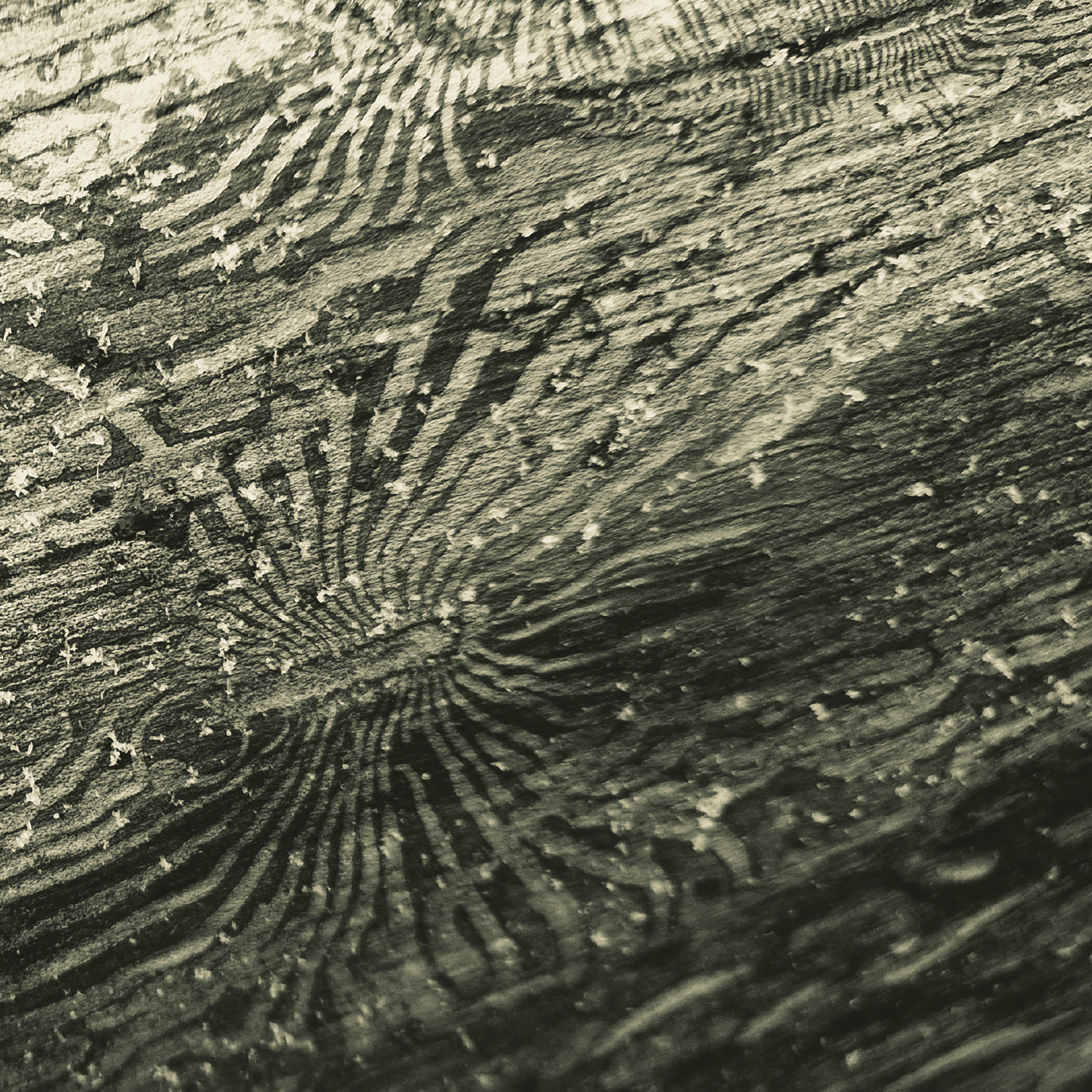 Raphael Rogiński - Talàn (LP)