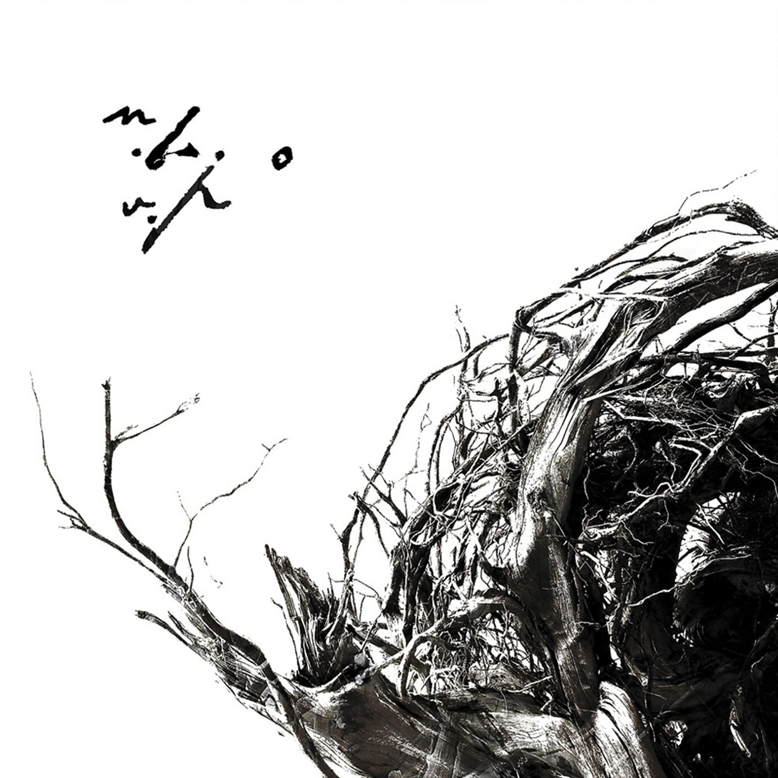 Negura Bunget - Virstele Pamintului (CD)