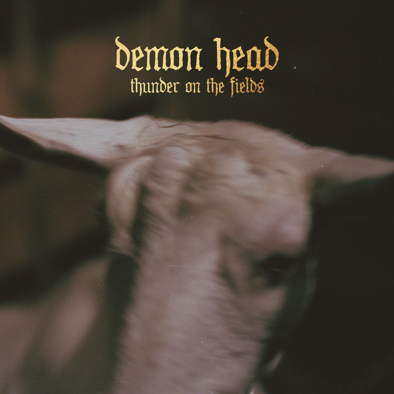 Demon Head - Thunder On The Fields (CD)