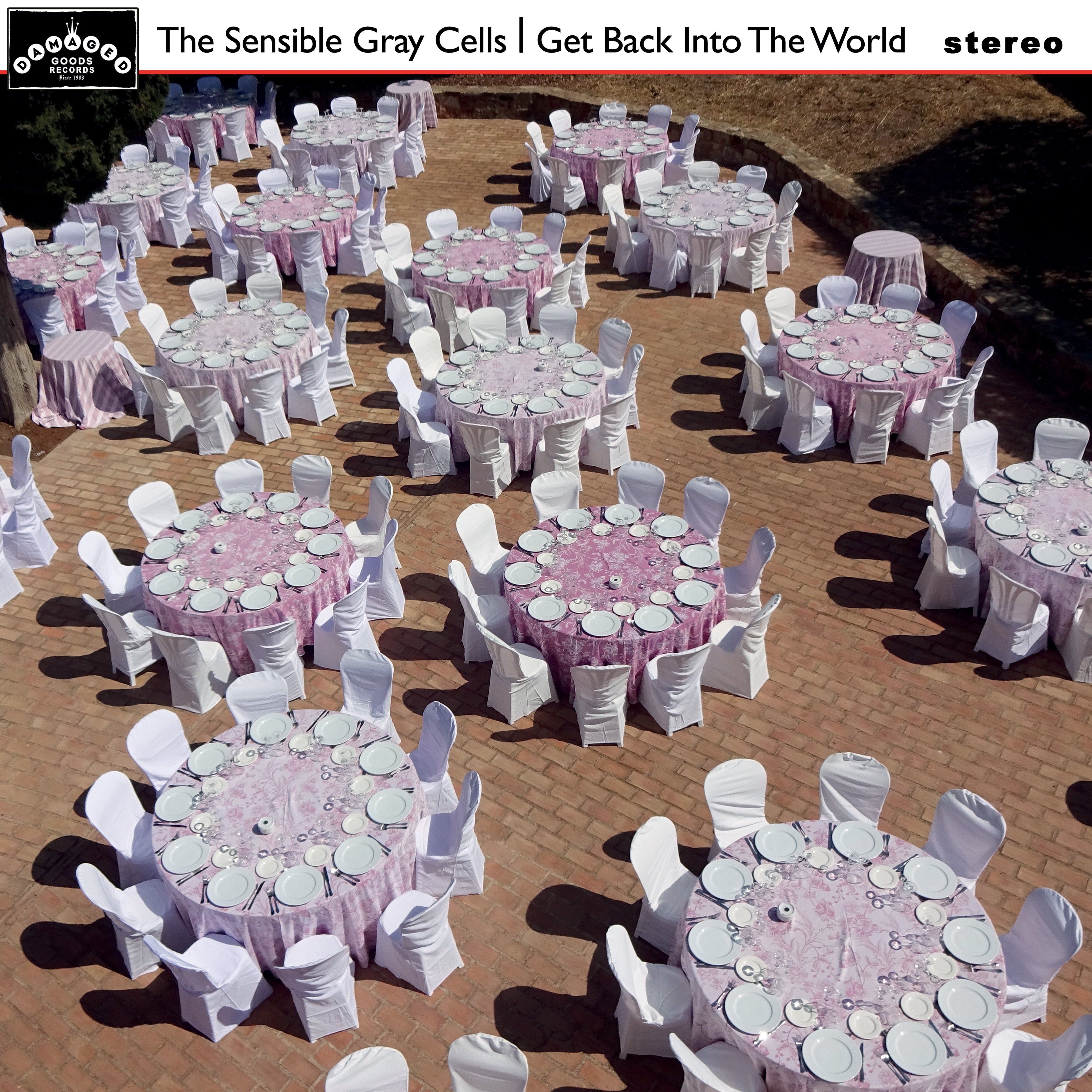Sensible Gray Cells - Get Back Into The World (LP)