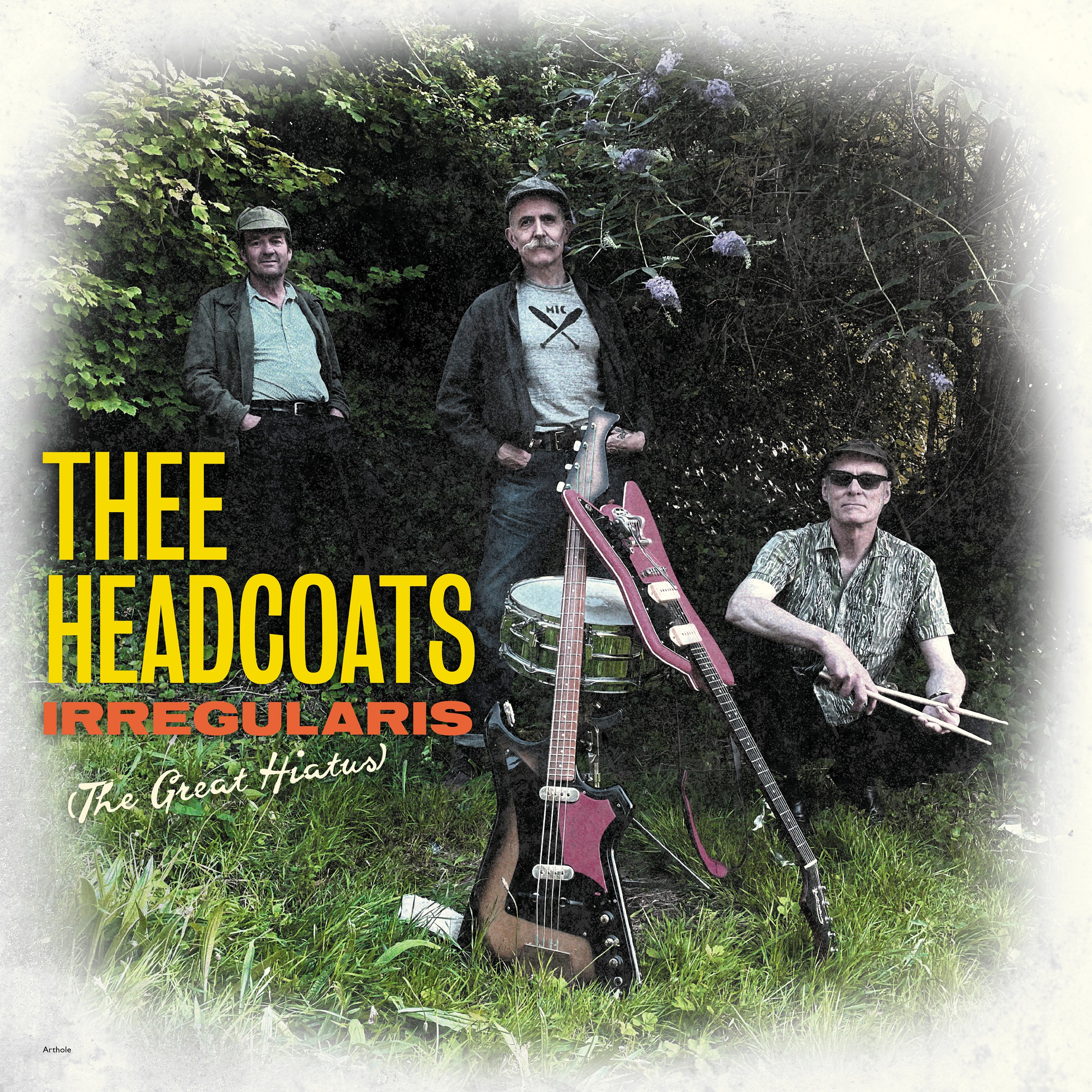 Thee Headcoats - Irregularis: The Great Hiatus (LP)