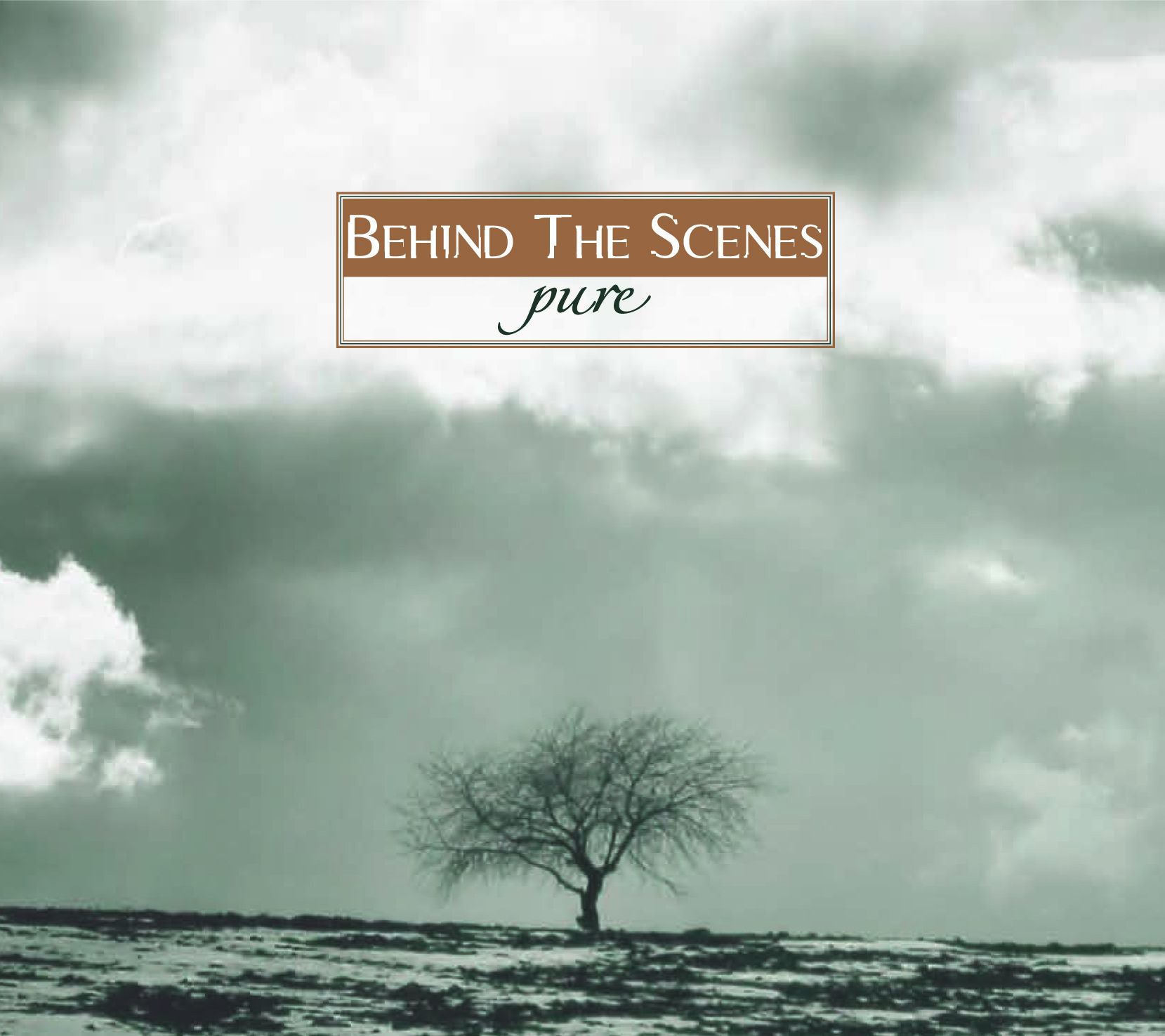 Behind The Scenes - Pure (CD)