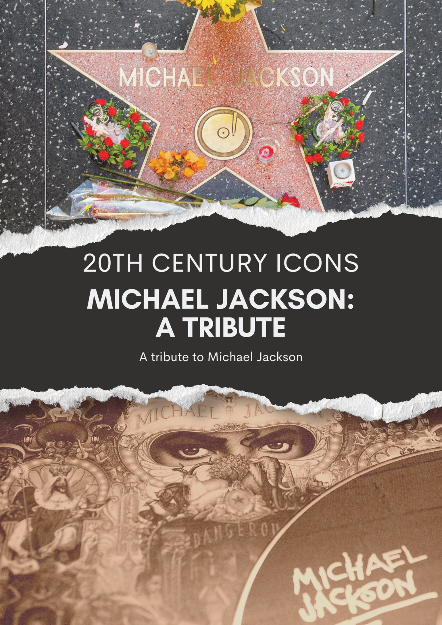 Michael Jackson: A Tribute (DVD)