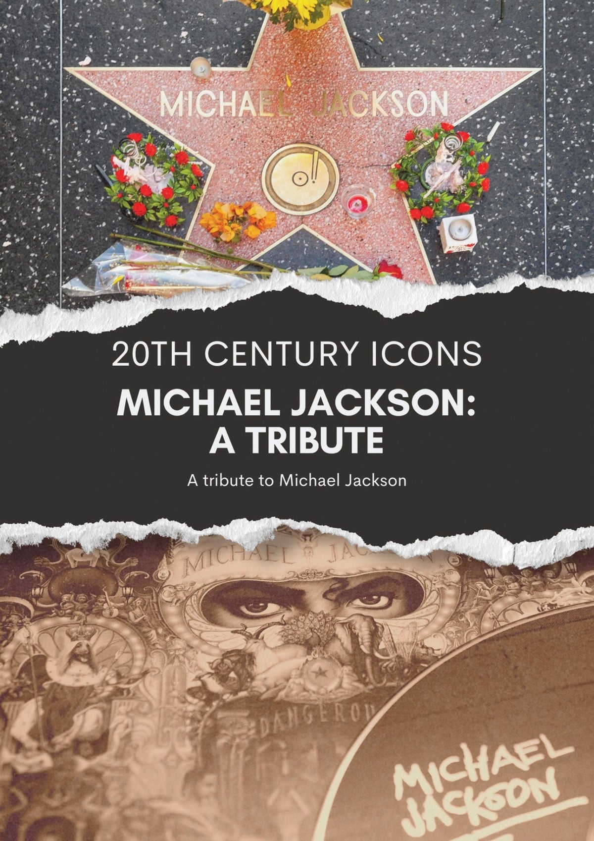 Michael Jackson: A Tribute (DVD)