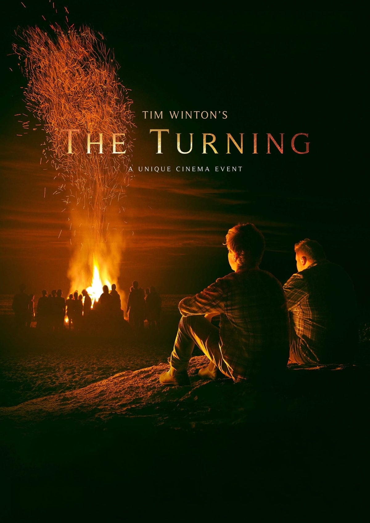 The Turning (DVD)