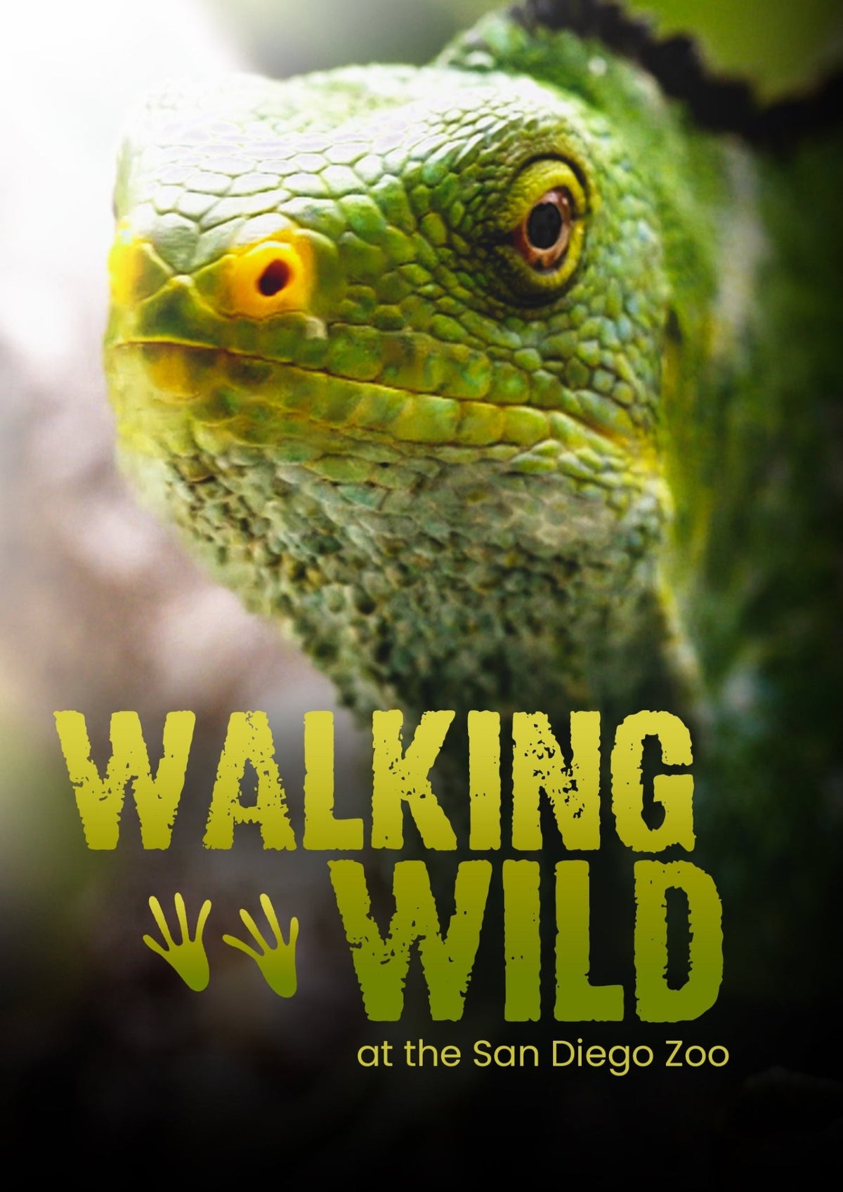 Walking Wild (DVD)
