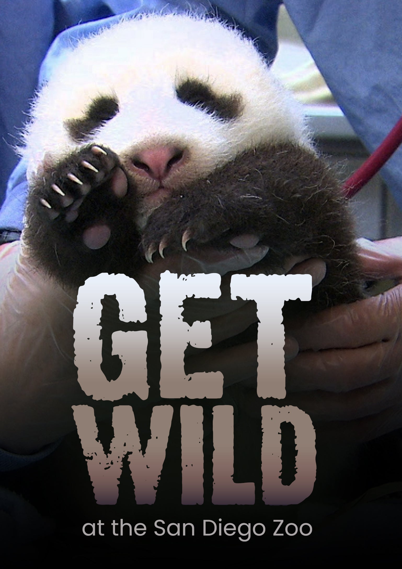 Get Wild (DVD)