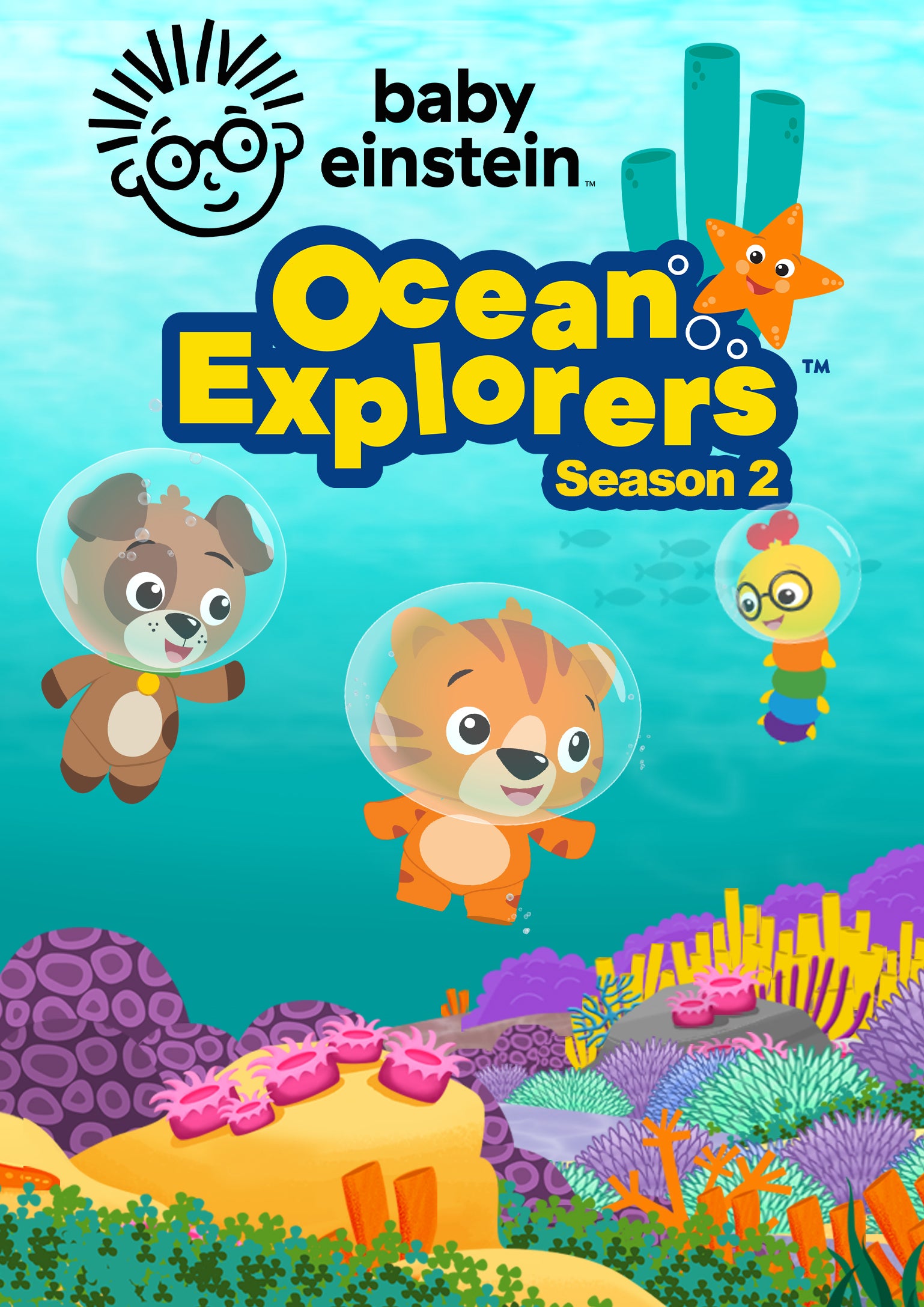 Baby Einstein: Ocean Explorers: Season 2 (DVD)