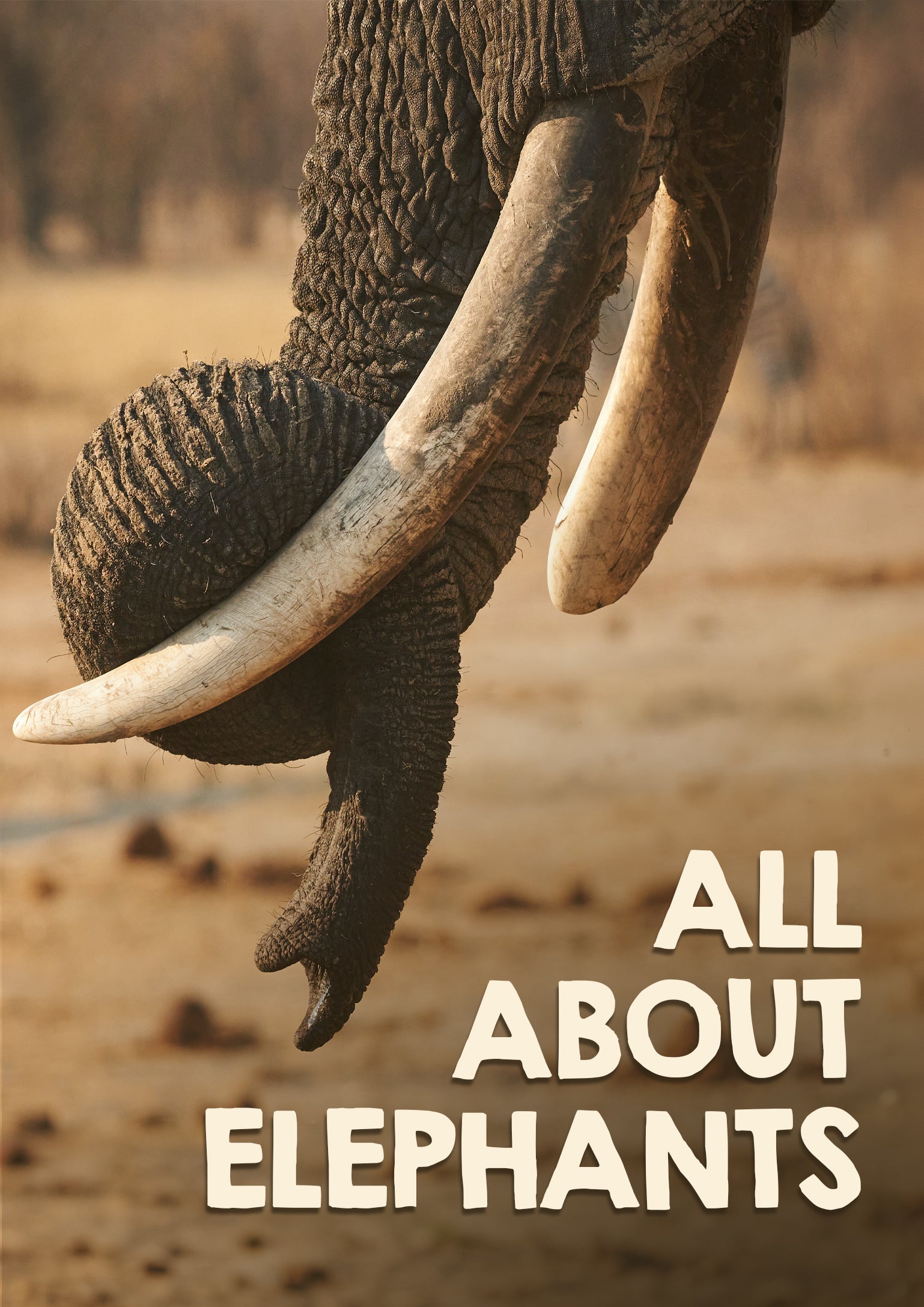 All About Elephants (DVD)