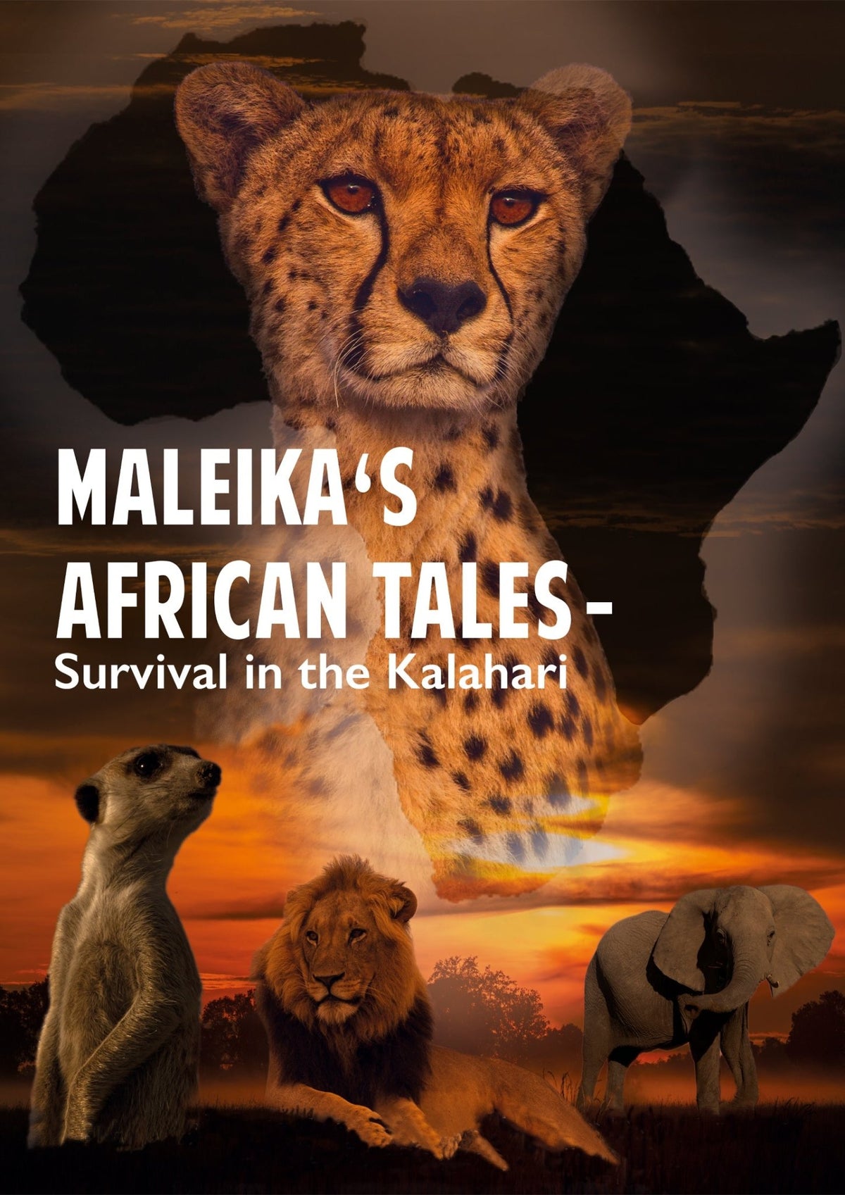 Maleika's African Tales - Survival in the Kalahari (DVD)