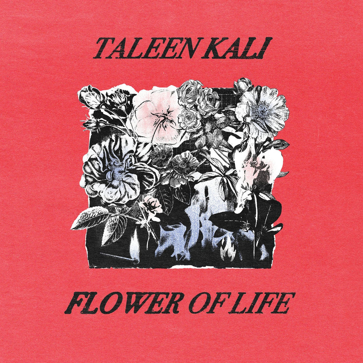 Taleen Kali - Flower Of Life (CD)