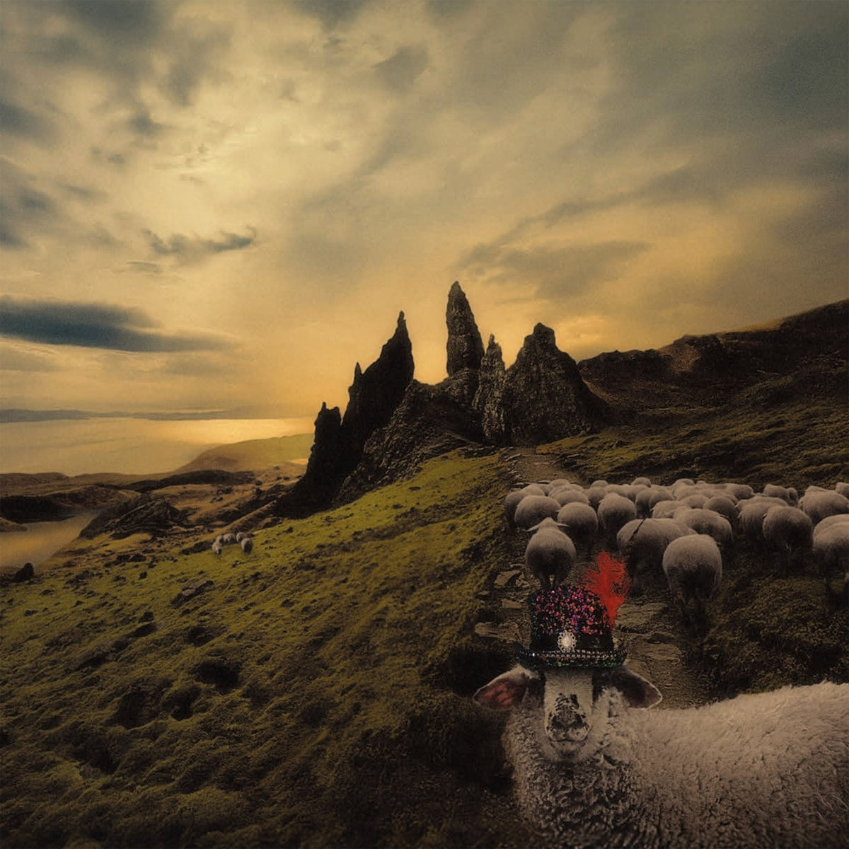 Franck Carducci - Sheeple (LP)